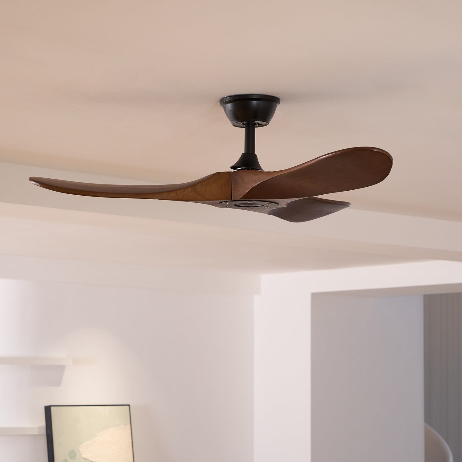 Ventilateur de plafond en bois Aviona finition Noir