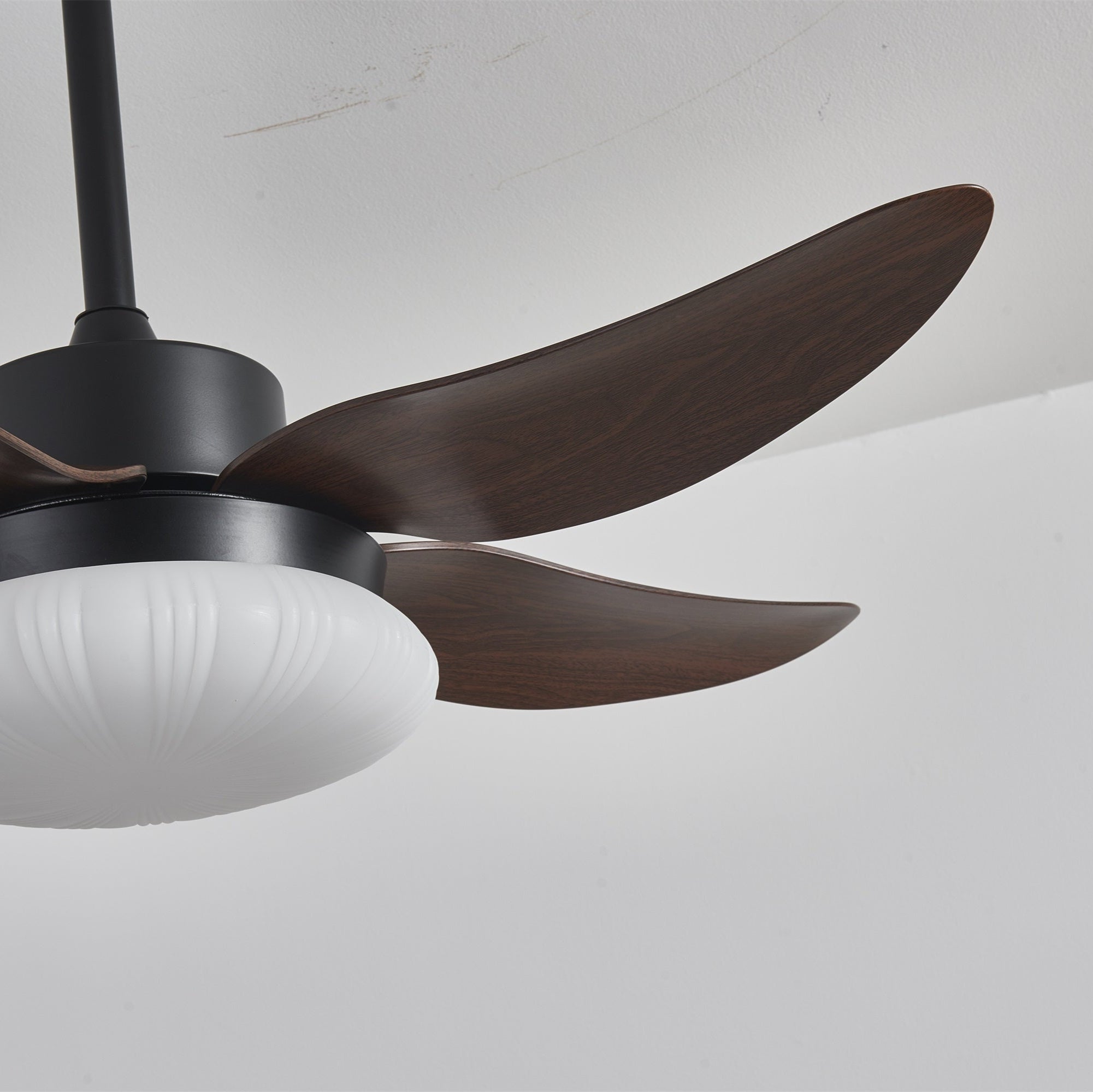 Ventilateur de plafond moderne Zerith avec lumière, sous un angle différent.