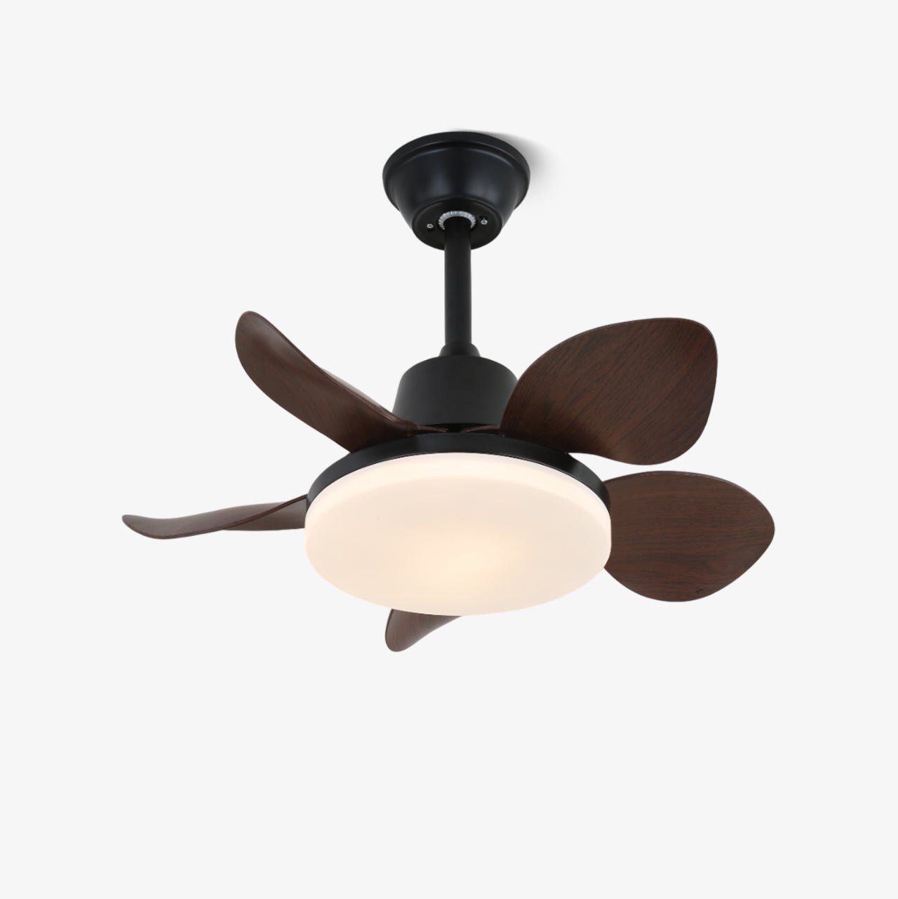 Plafonnier ventilateur Veyra moderne en bois avec dimensions Dia 71cm x H 28cm