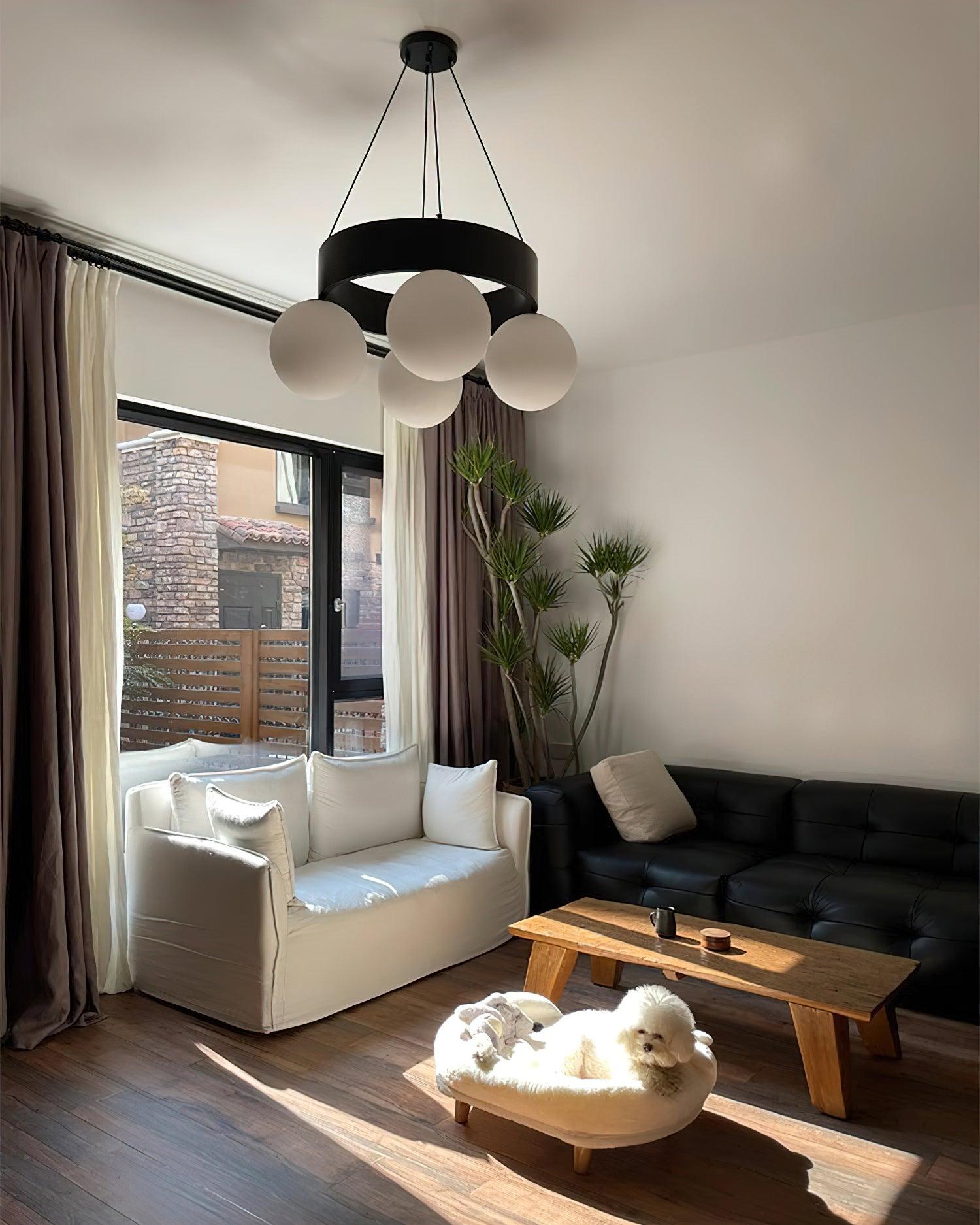 Asterios Lustre Anneau Noir Abat-jours Sphériques - Neutralighting