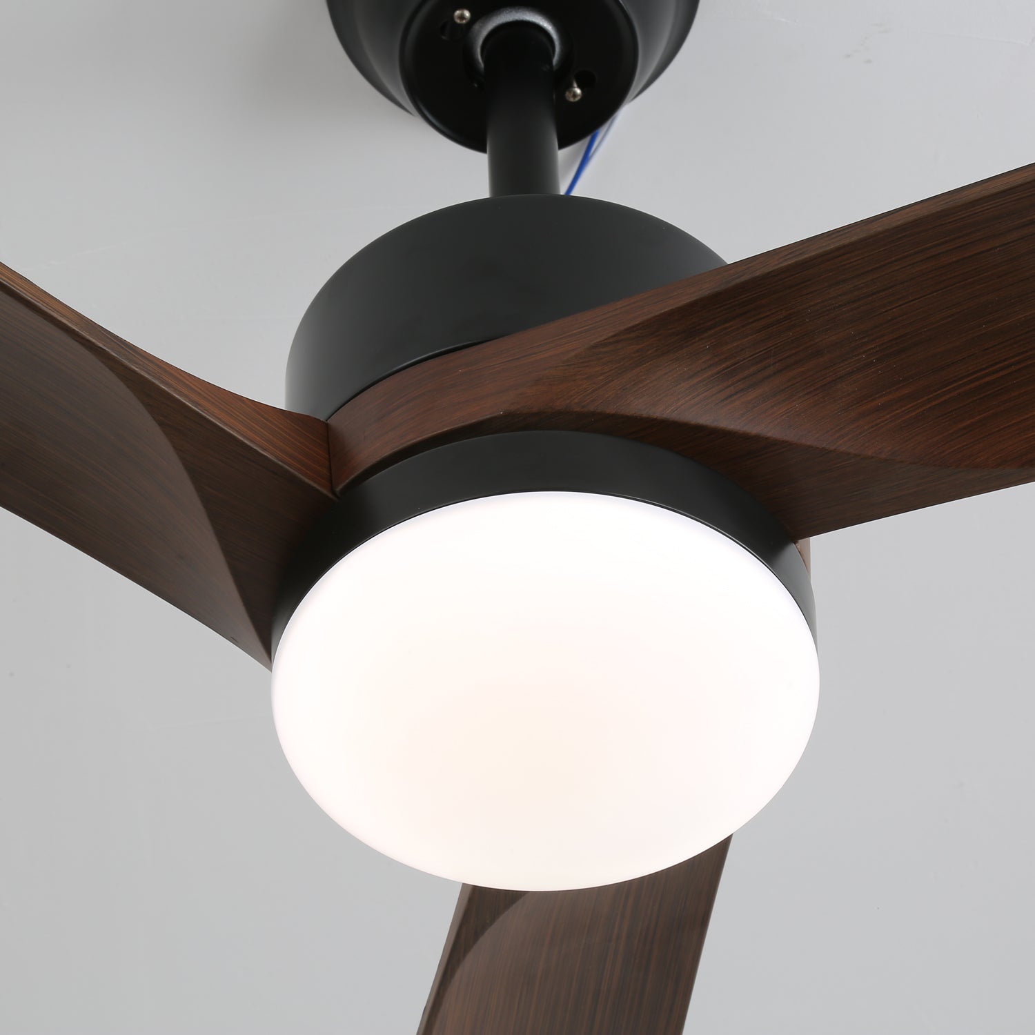 Vue latérale du ventilateur de plafond moderne en bois Evraeis