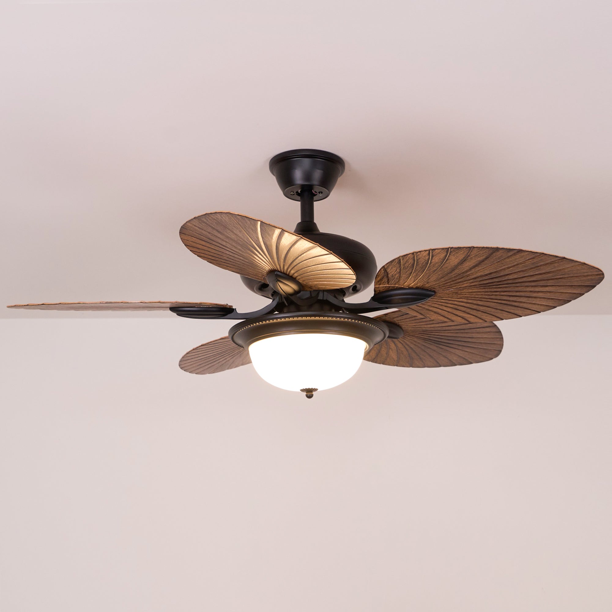Plafonnier ventilateur Virel en bois tropical, montrant le culot E26/E27