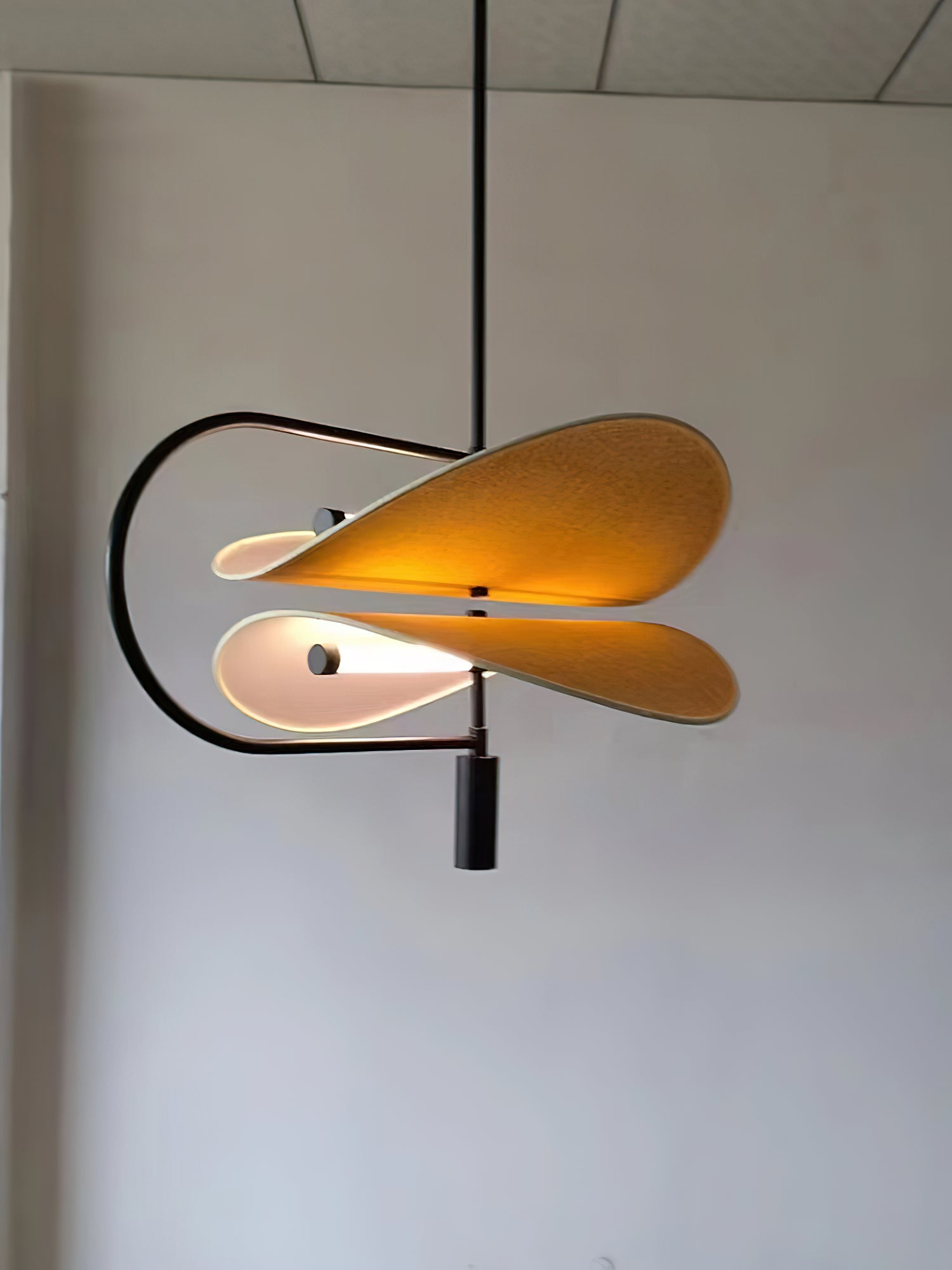 Ildvuvyk Individuel Créativité Acrylique Métal Suspension - Neutralighting