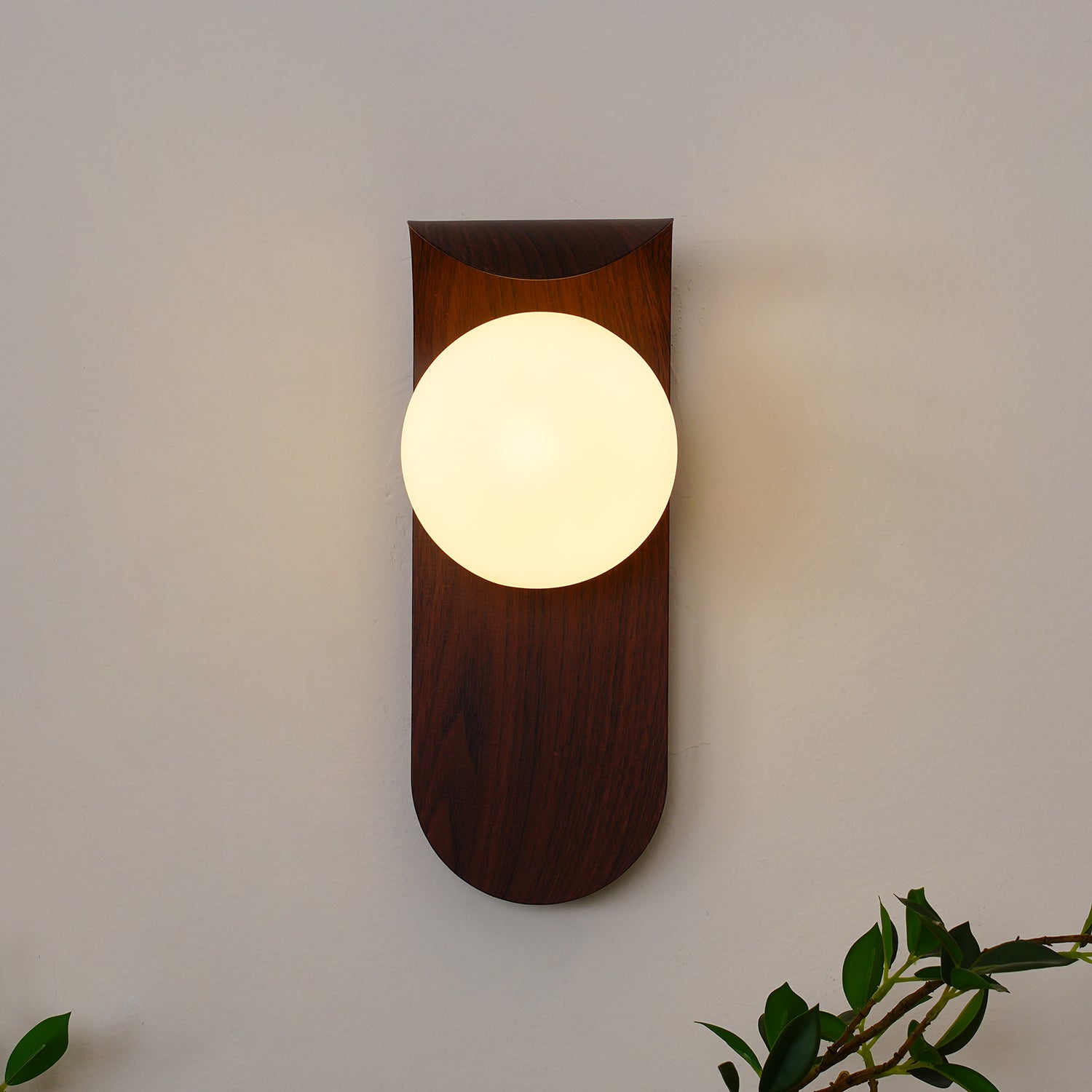 Exuro Applique Murale Intérieure en Bois / Noyer