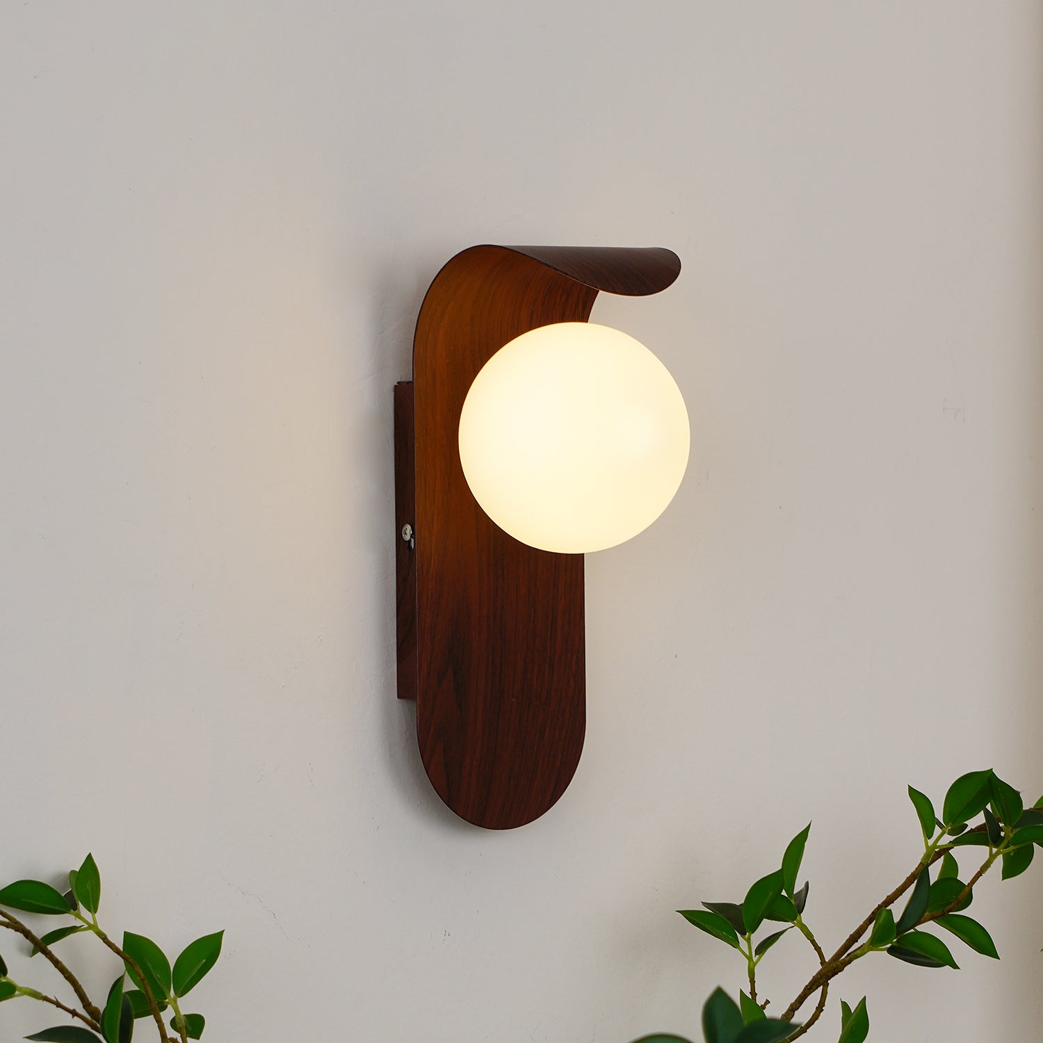 Exuro Applique Murale Intérieure en Bois / Noyer