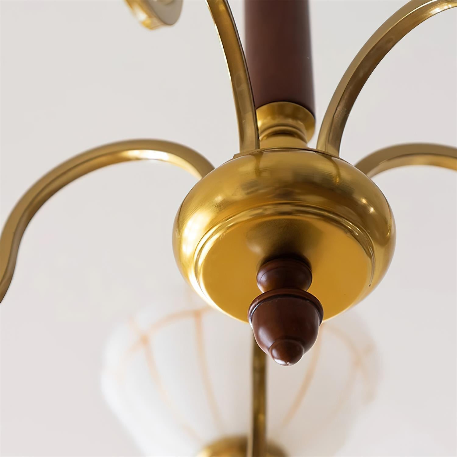 Charlie Lustre Fleur en Verre Courbée - Neutralighting