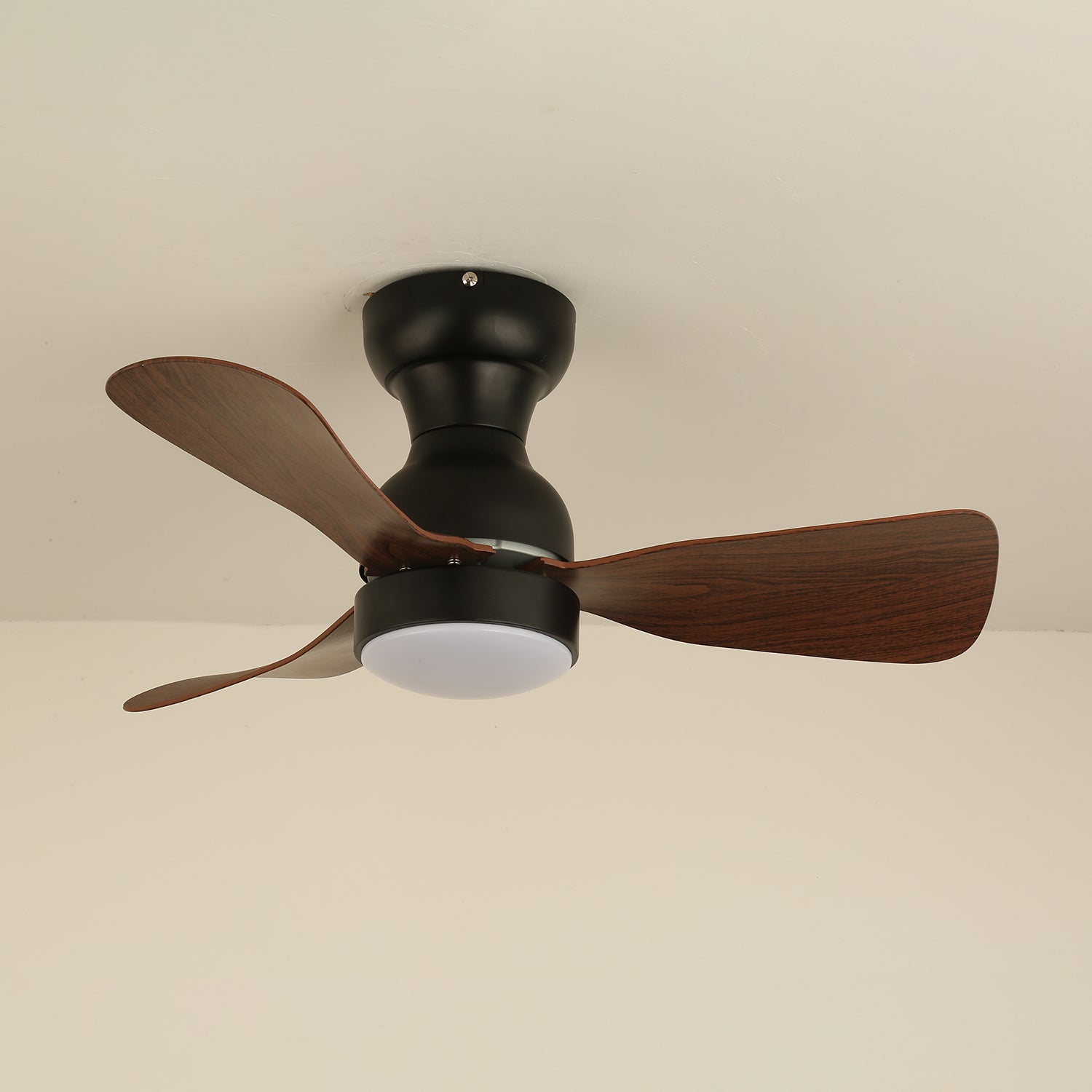 Gros plan du boîtier du moteur en cuivre pur sur le ventilateur Aurdorus