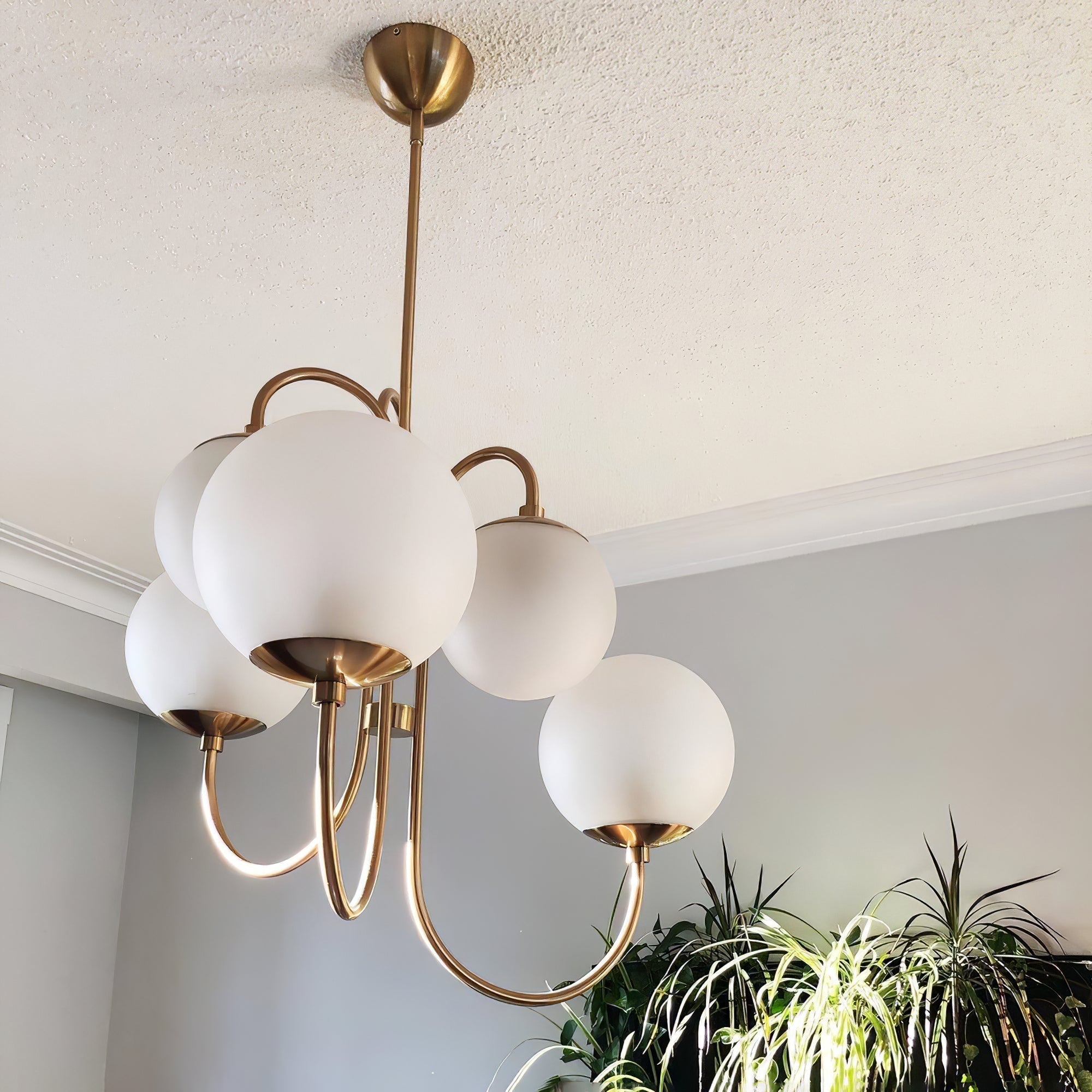 Lustra Chandelier en Laiton avec Globe et Bras Courbés - Neutralighting