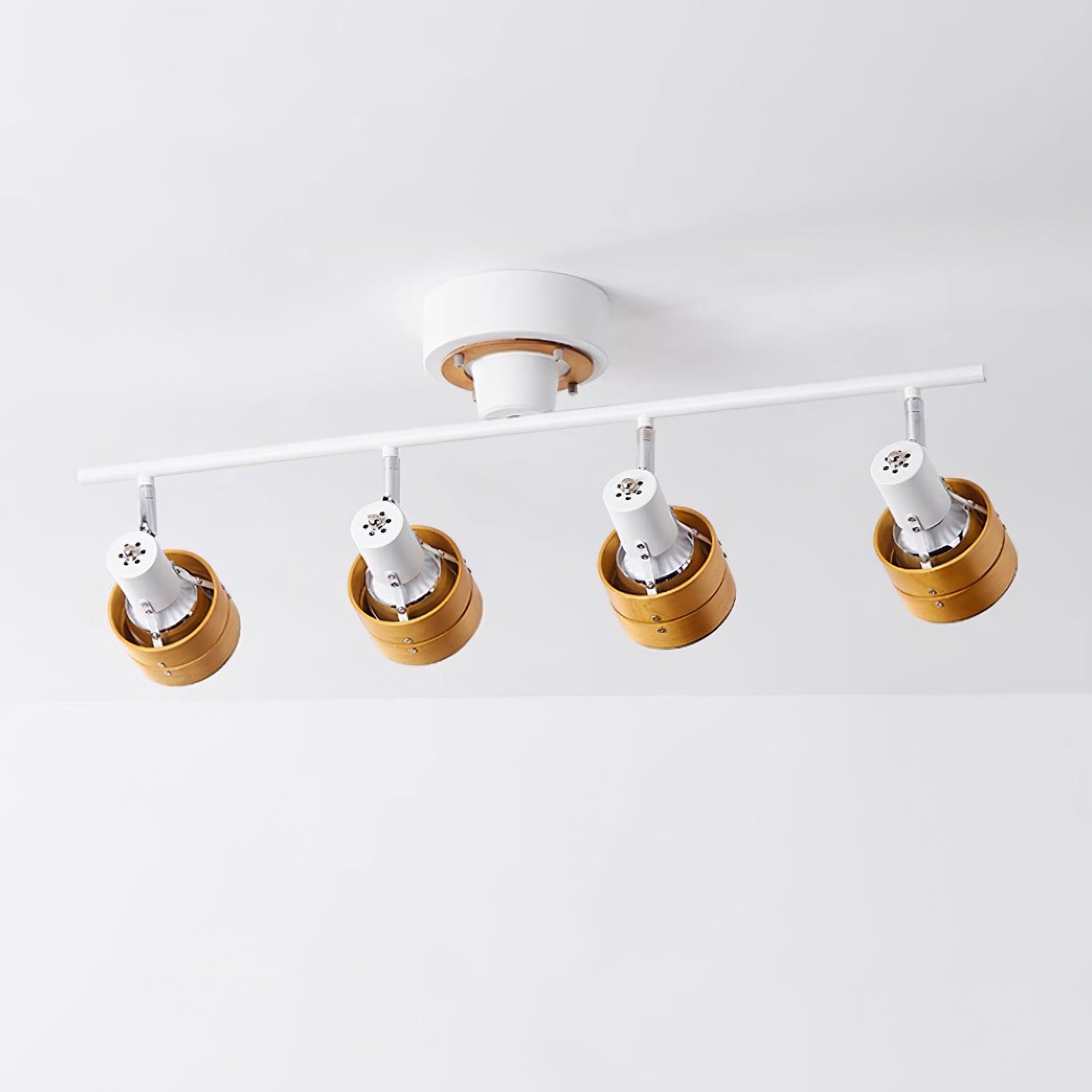 Daven Lustra Projecteur Rail 4-Lumières Ajustable - Neutralighting
