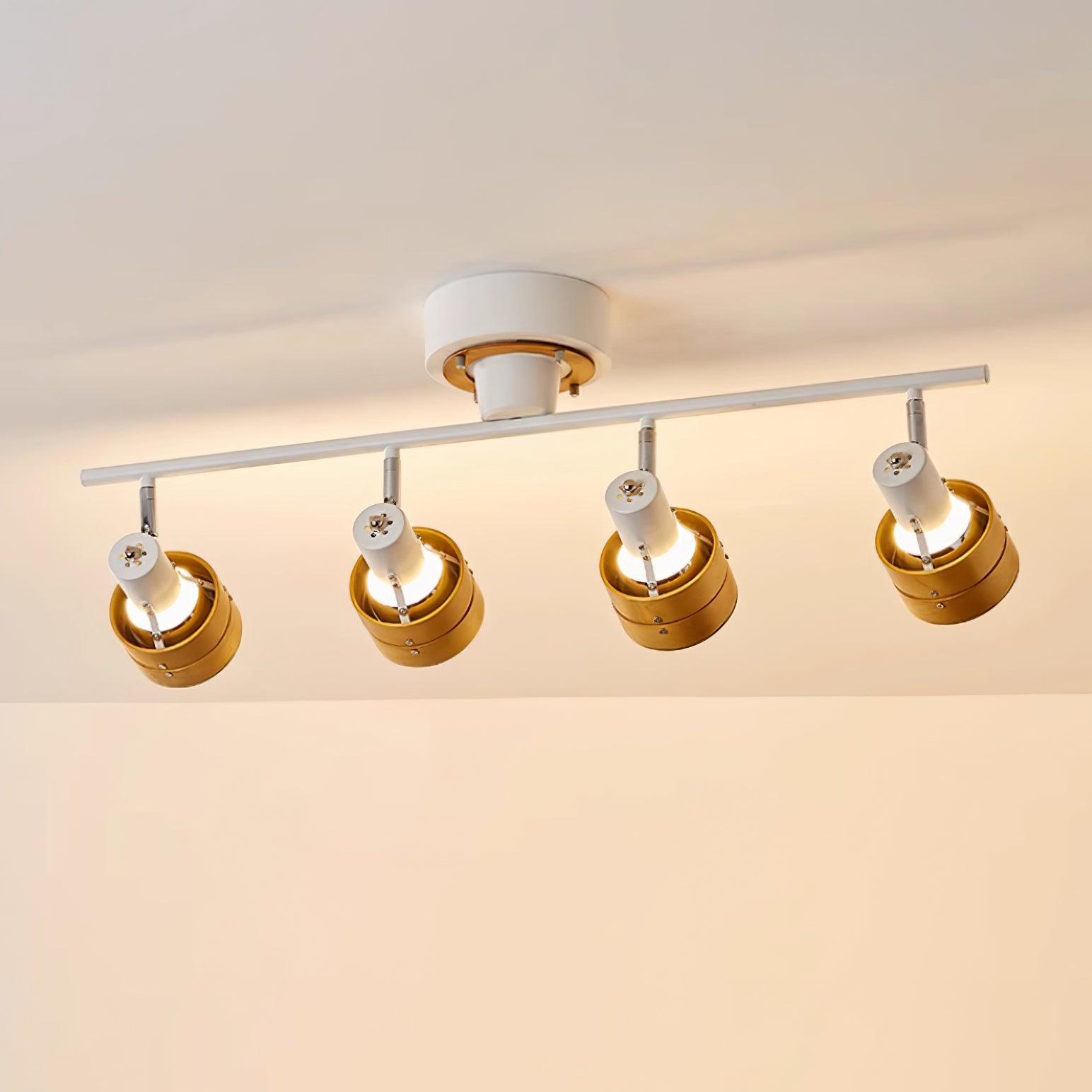 Daven Lustra Projecteur Rail 4-Lumières Ajustable - Neutralighting