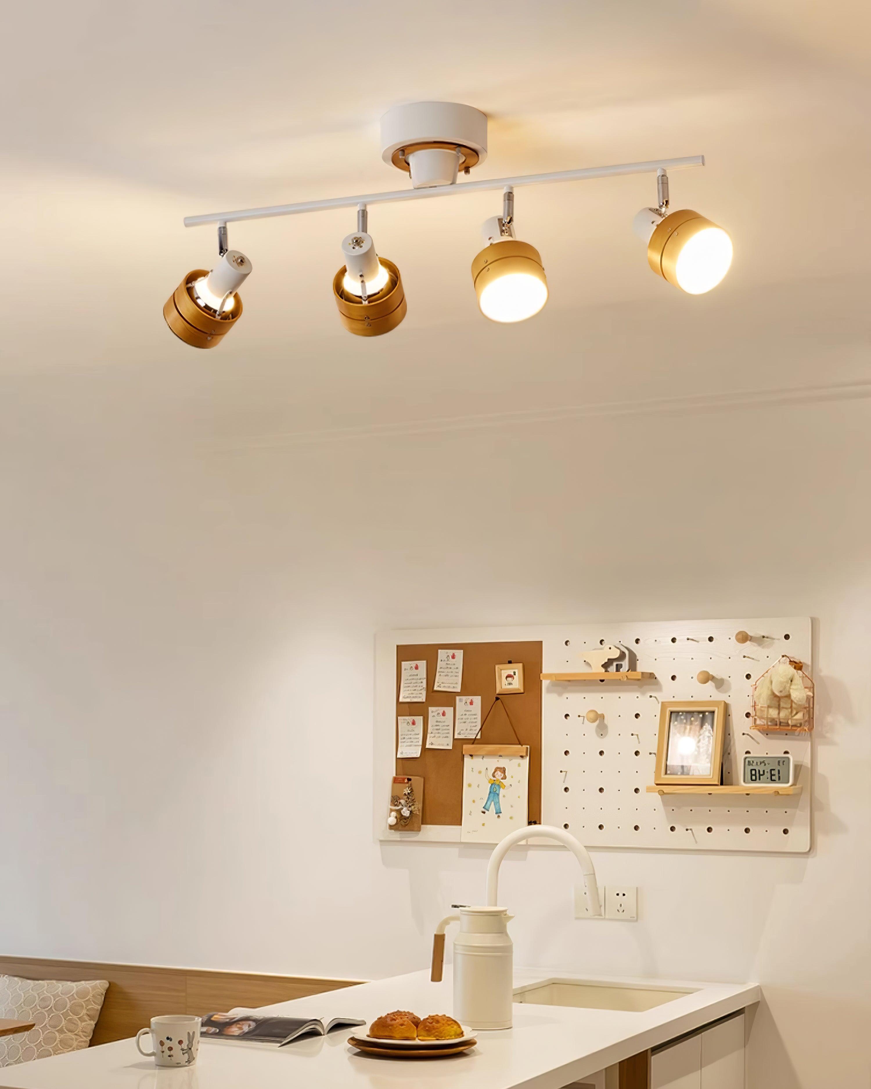 Daven Lustra Projecteur Rail 4-Lumières Ajustable - Neutralighting
