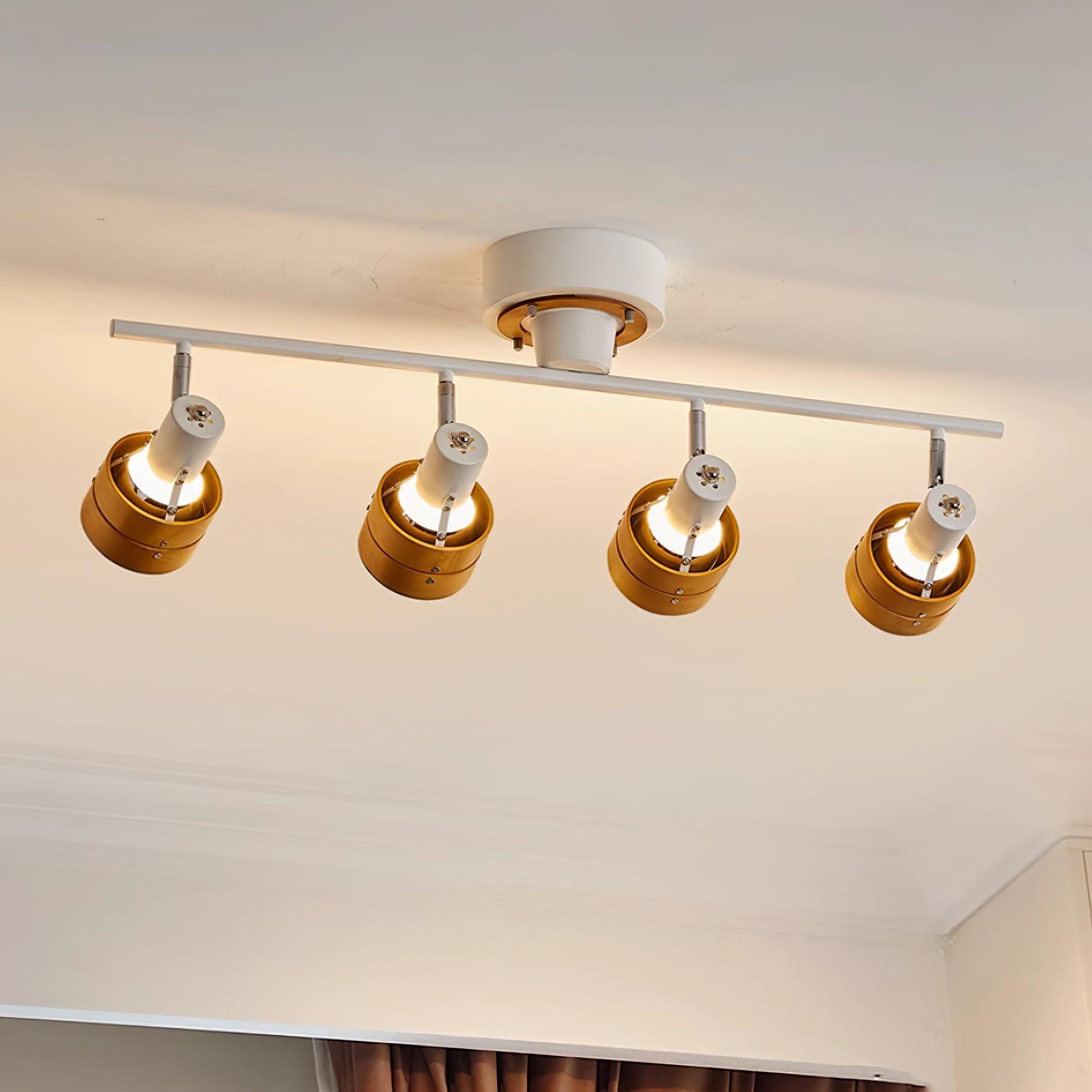 Daven Lustra Projecteur Rail 4-Lumières Ajustable - Neutralighting