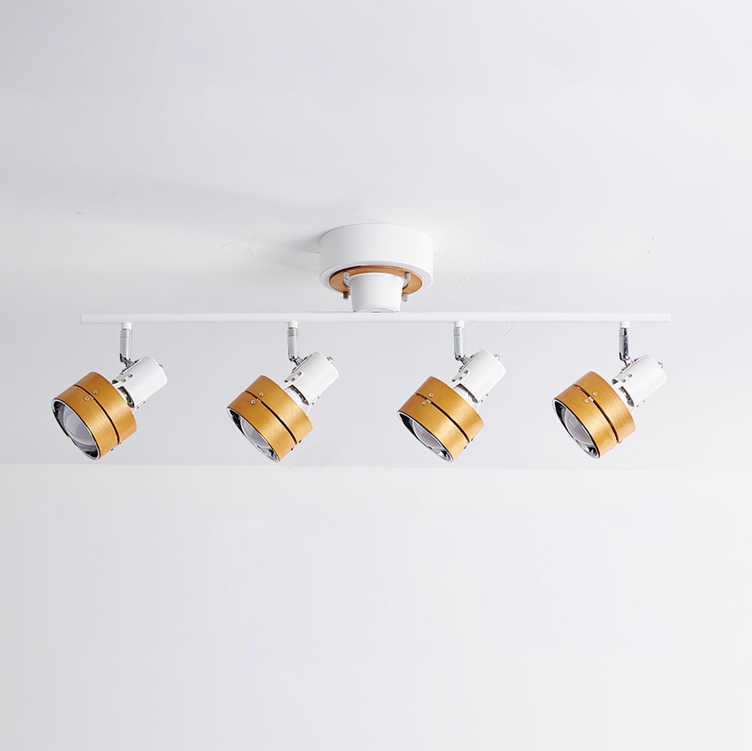 Daven Lustra Projecteur Rail 4-Lumières Ajustable - Neutralighting