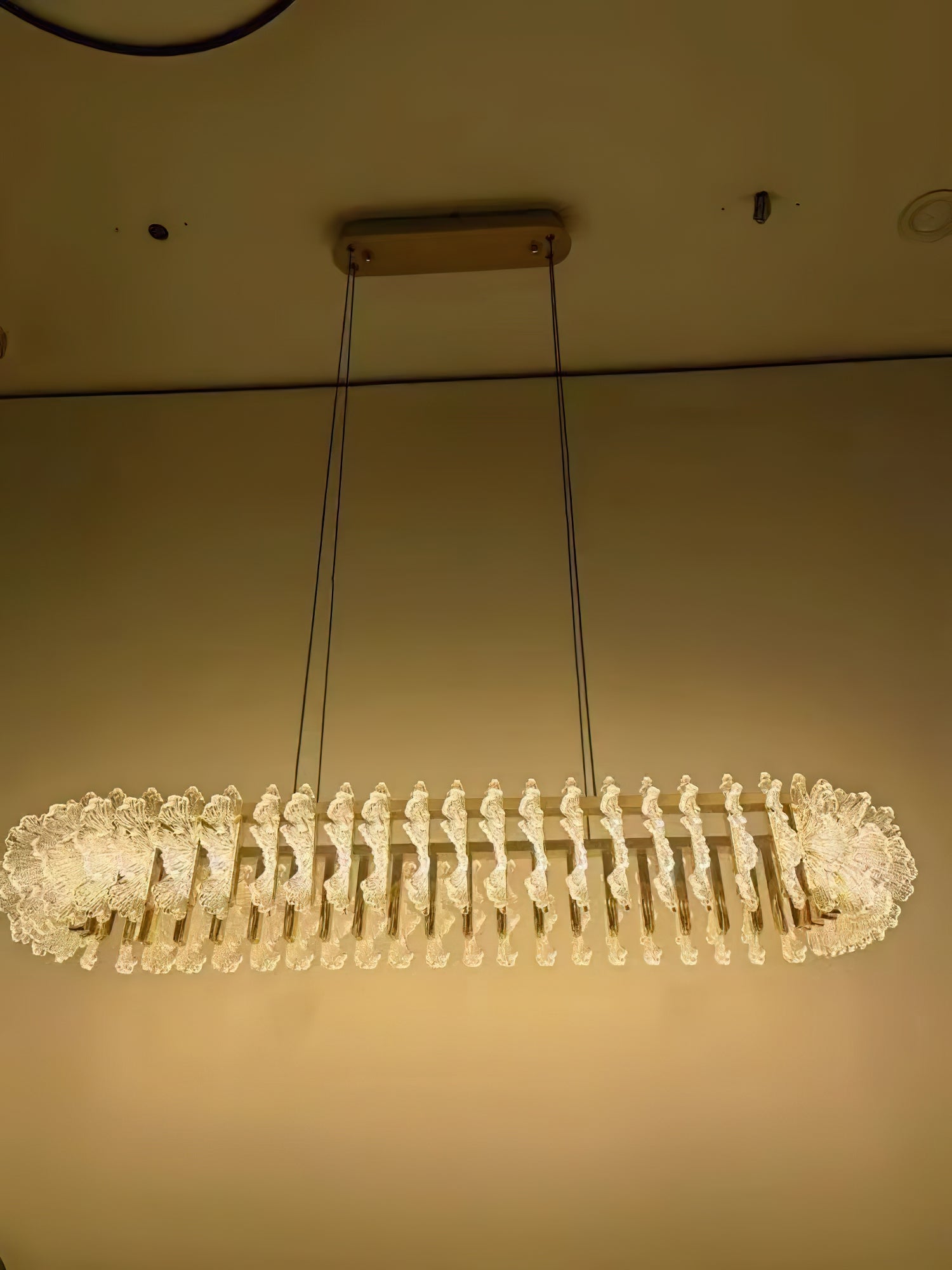 Chandelier en Verre et Acrylique de Luxe Ulcarir Feuille - Neutralighting