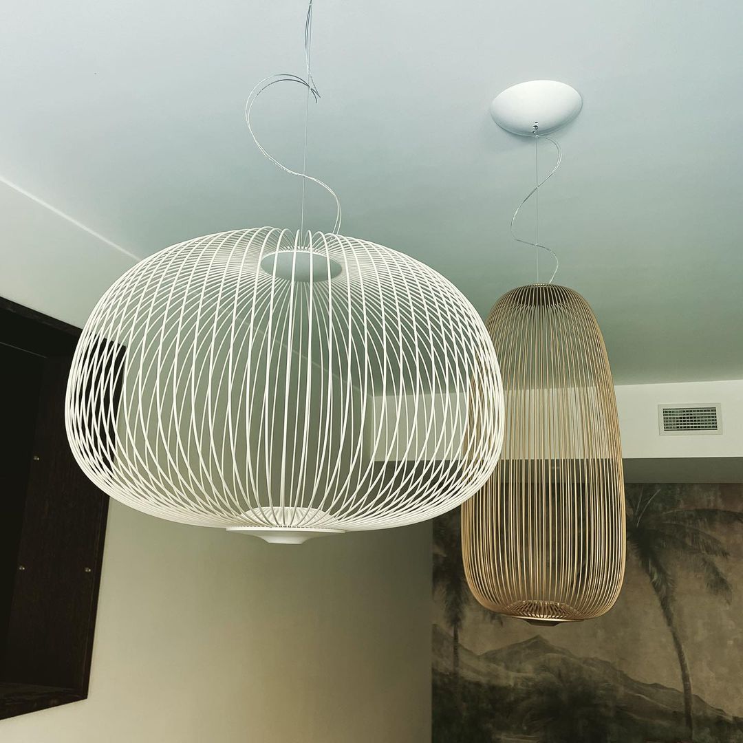Vadorora Modern Minimalist Cage Metal Pendant Lamp - Lamp Copper