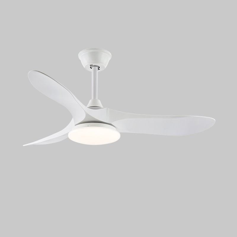 Ventilateur de plafond NovaVent avec lumière