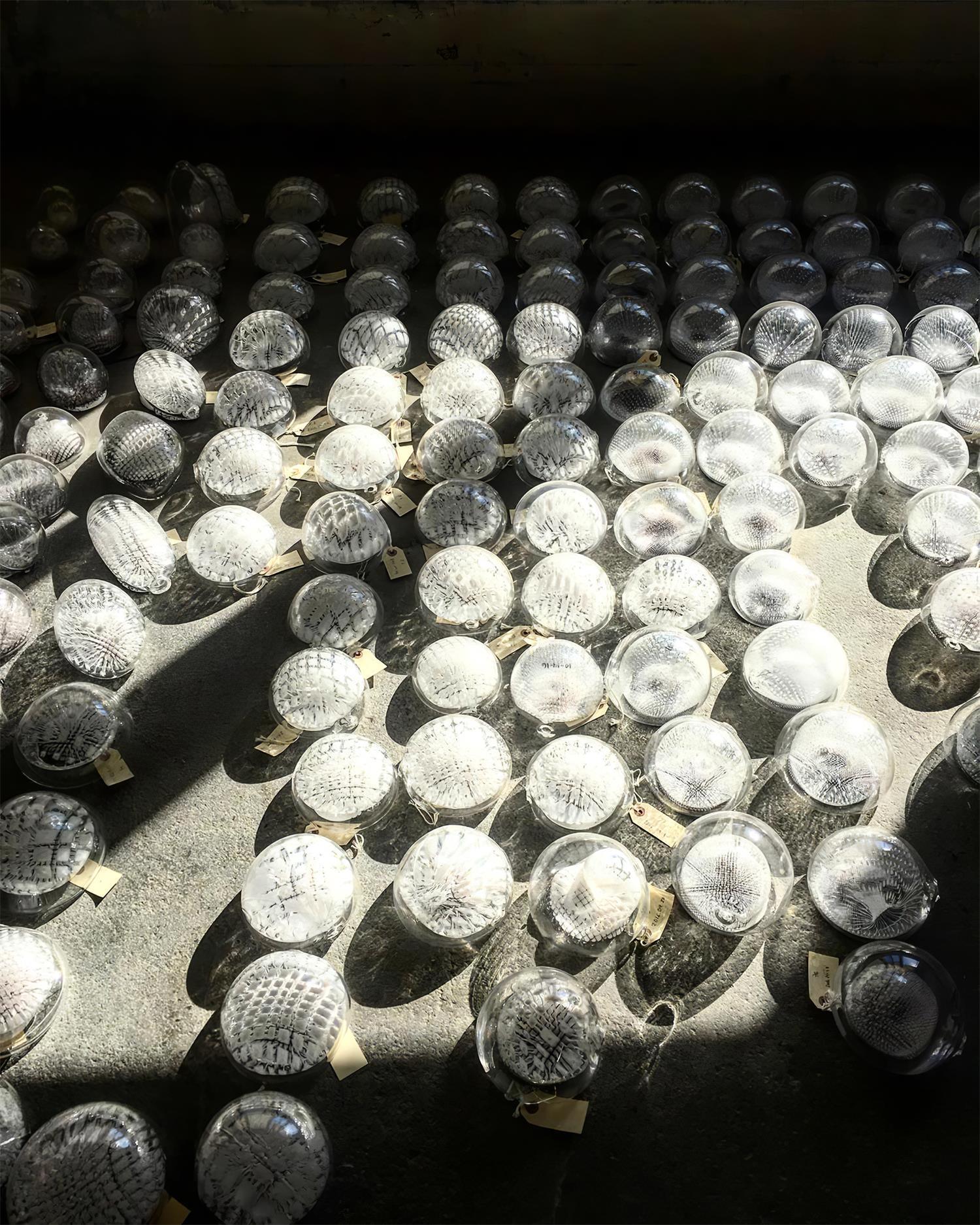 Sfera Chandelier Moderne Minimaliste en Verre - Neutralighting