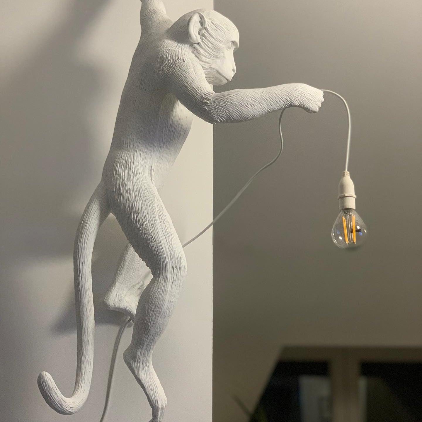 Acoustic Art Unique Singe Résine Applique Murale - Neutralighting