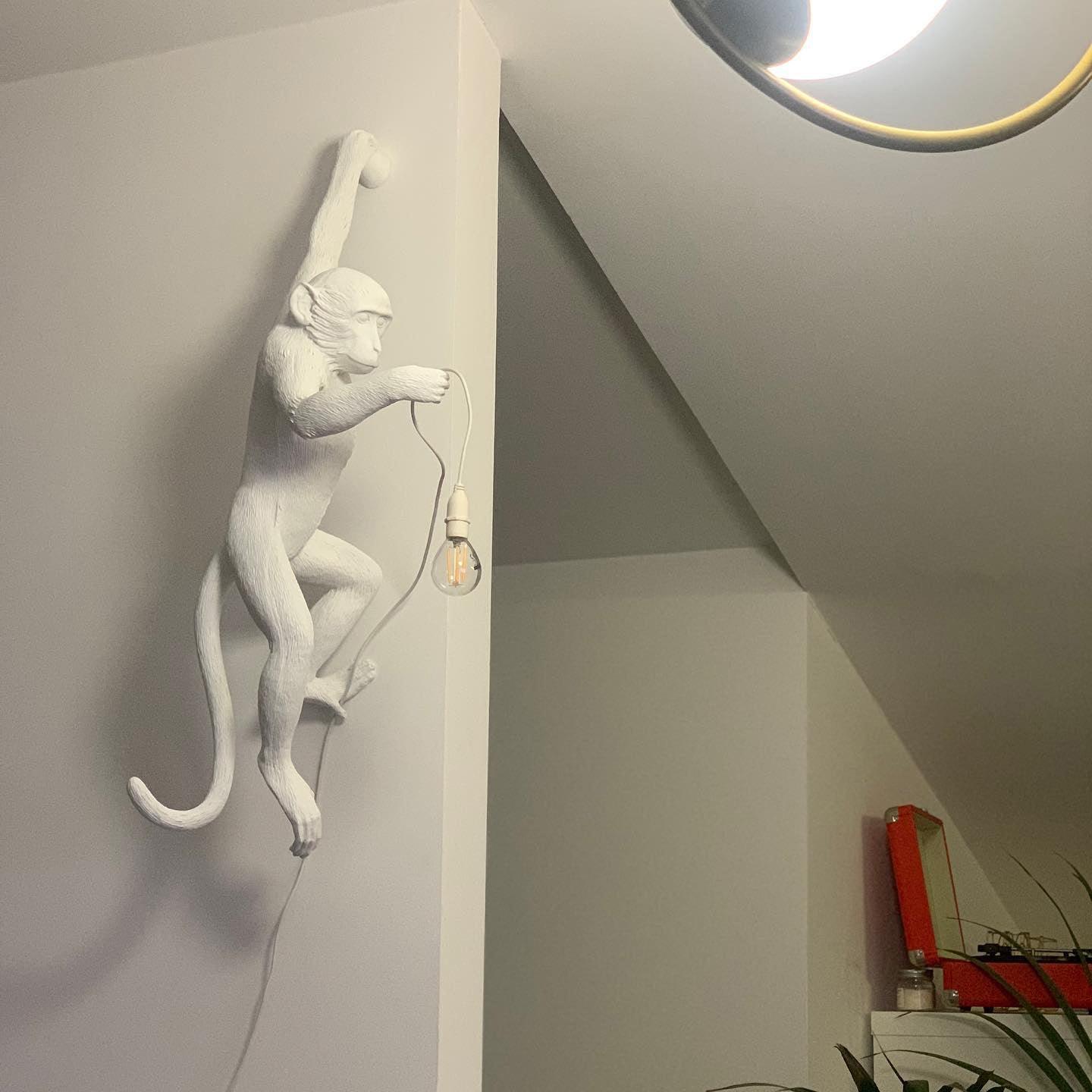 Acoustic Art Unique Singe Résine Applique Murale - Neutralighting