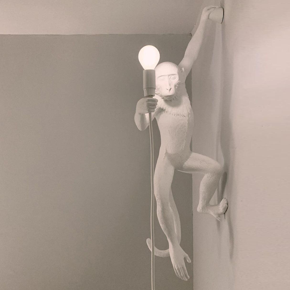 Acoustic Art Unique Singe Résine Applique Murale - Neutralighting