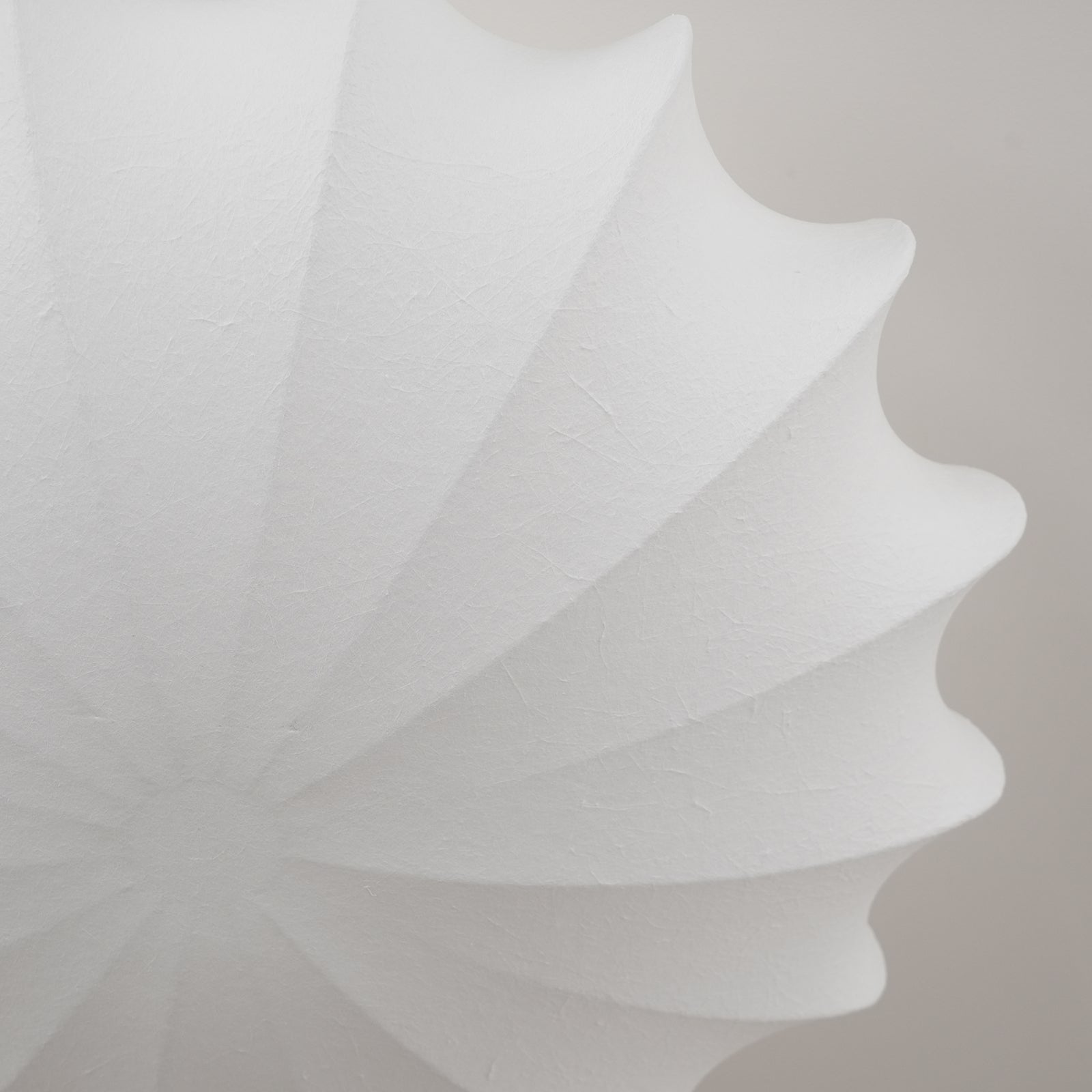 Blan Plafonnier Coquillage Minimaliste - Neutralighting