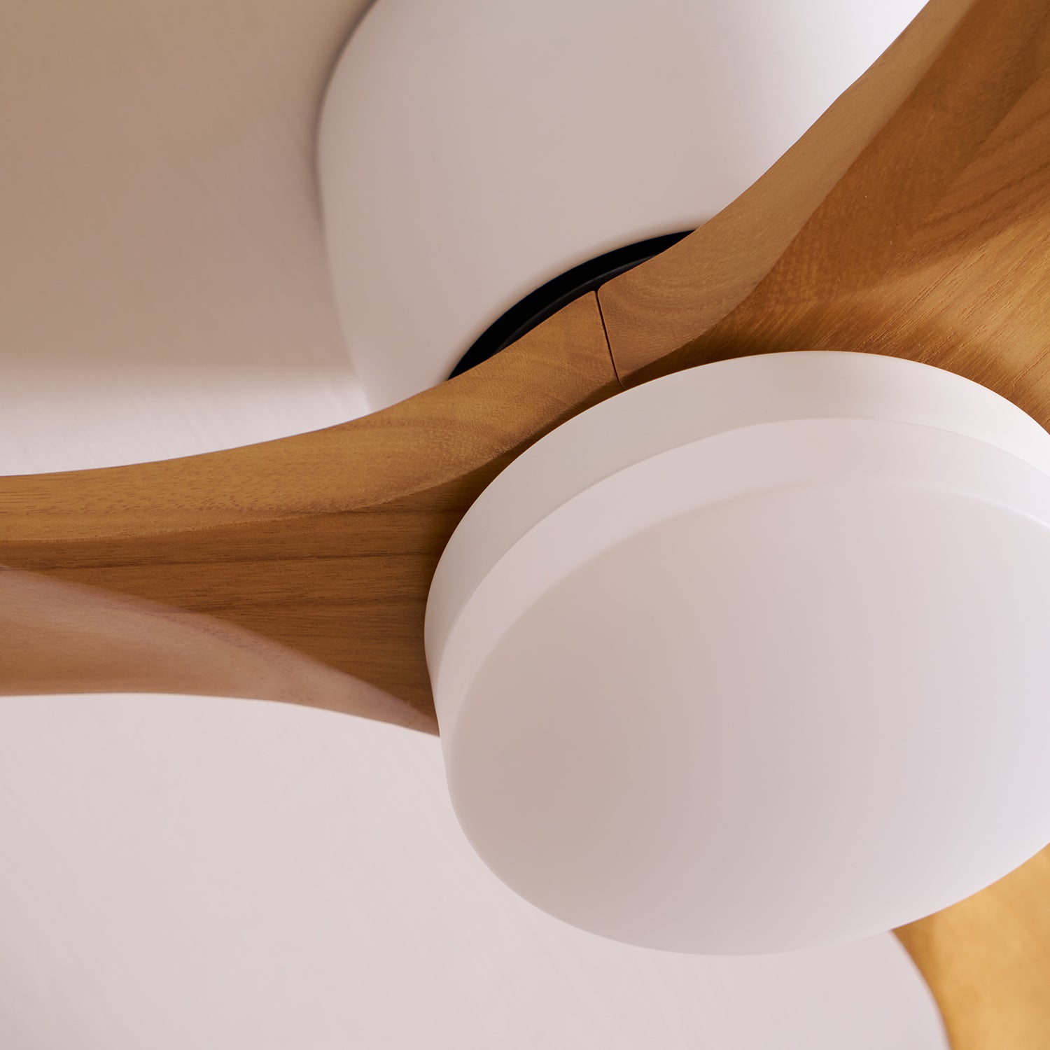 Plafonnier ventilateur Elena, conçu pour les environnements intérieurs.