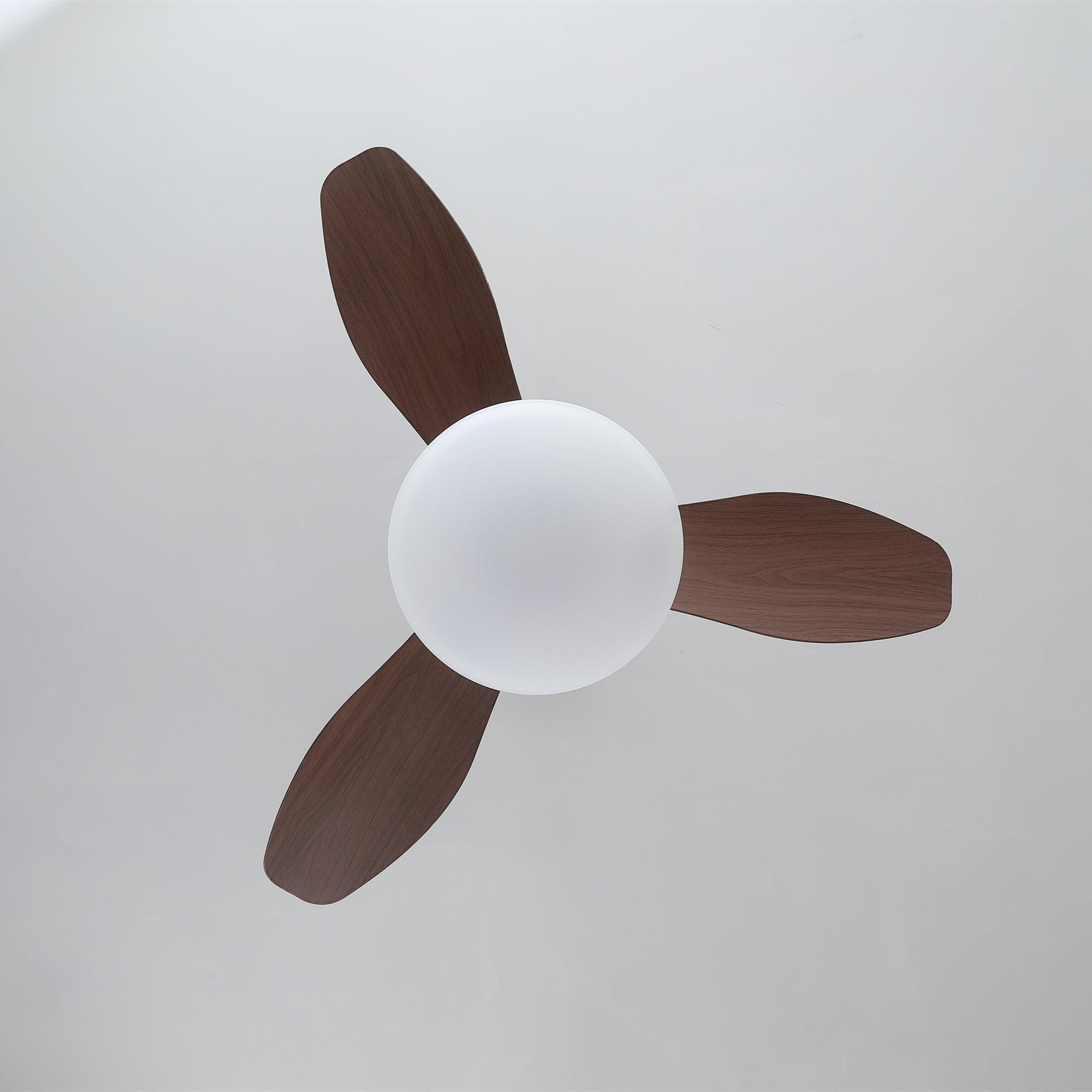 Ventilateur de plafond lumineux Sylvara mettant en évidence son cadre métallique