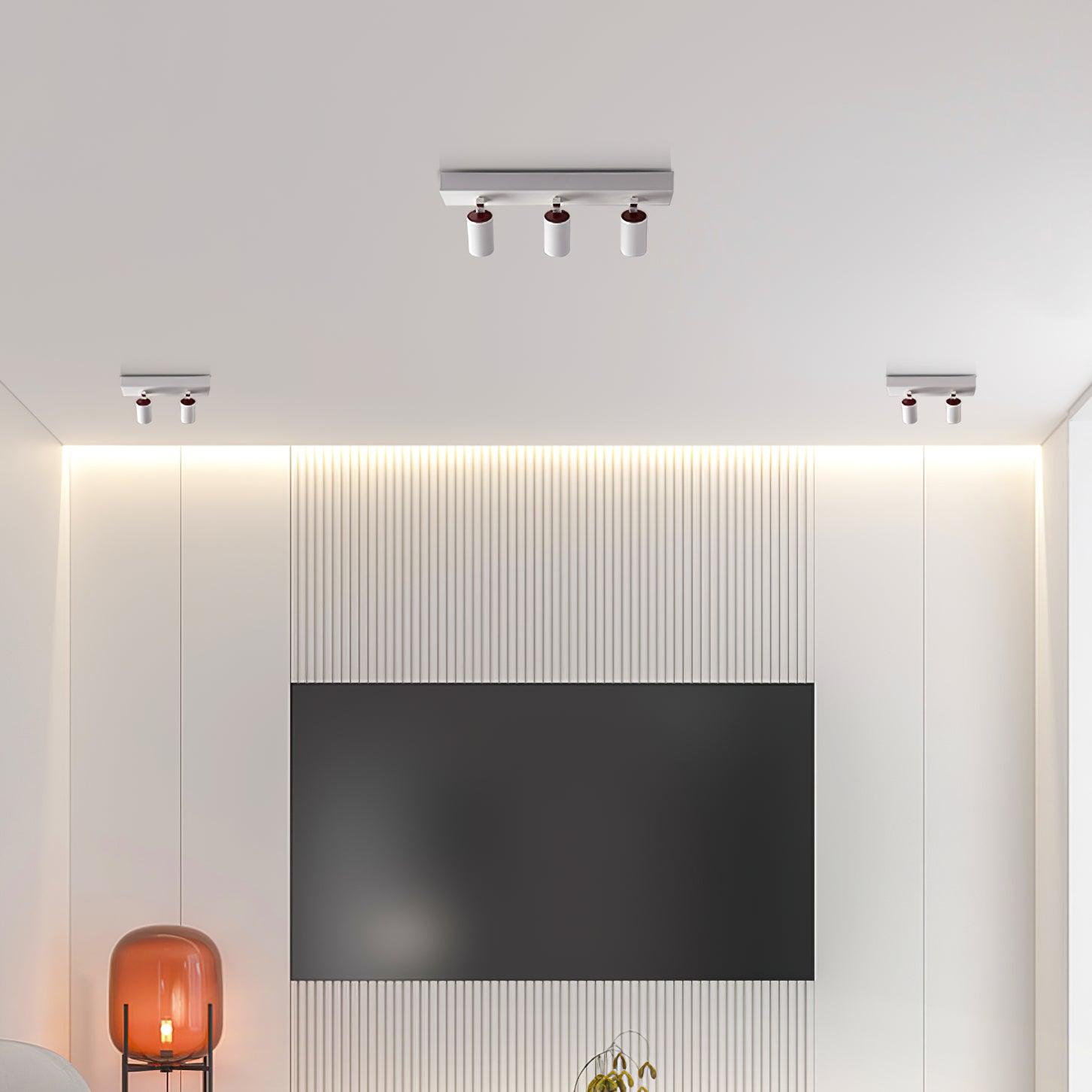 Solara Plafonnier POG Double Spots Linéaires Orientables - Neutralighting