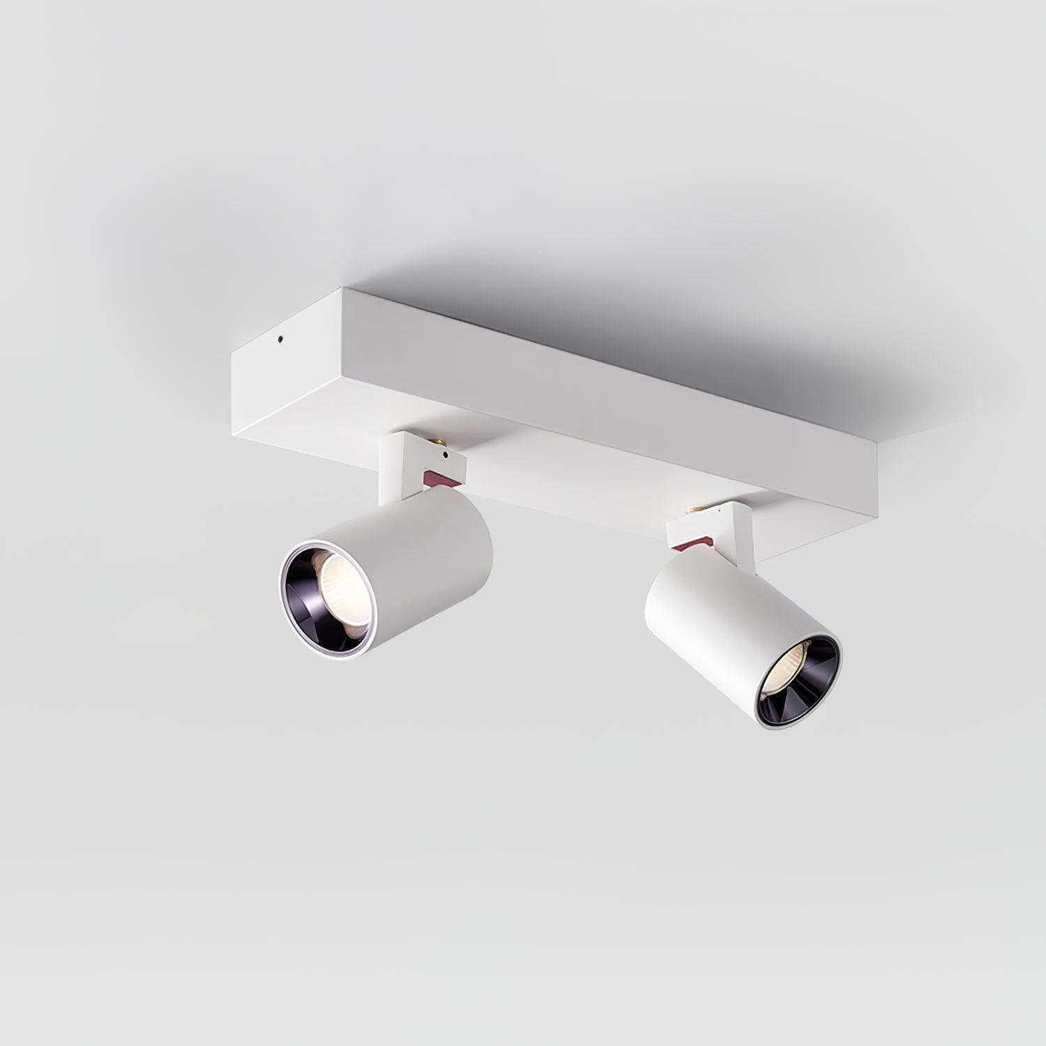 Solara Plafonnier POG Double Spots Linéaires Orientables - Neutralighting