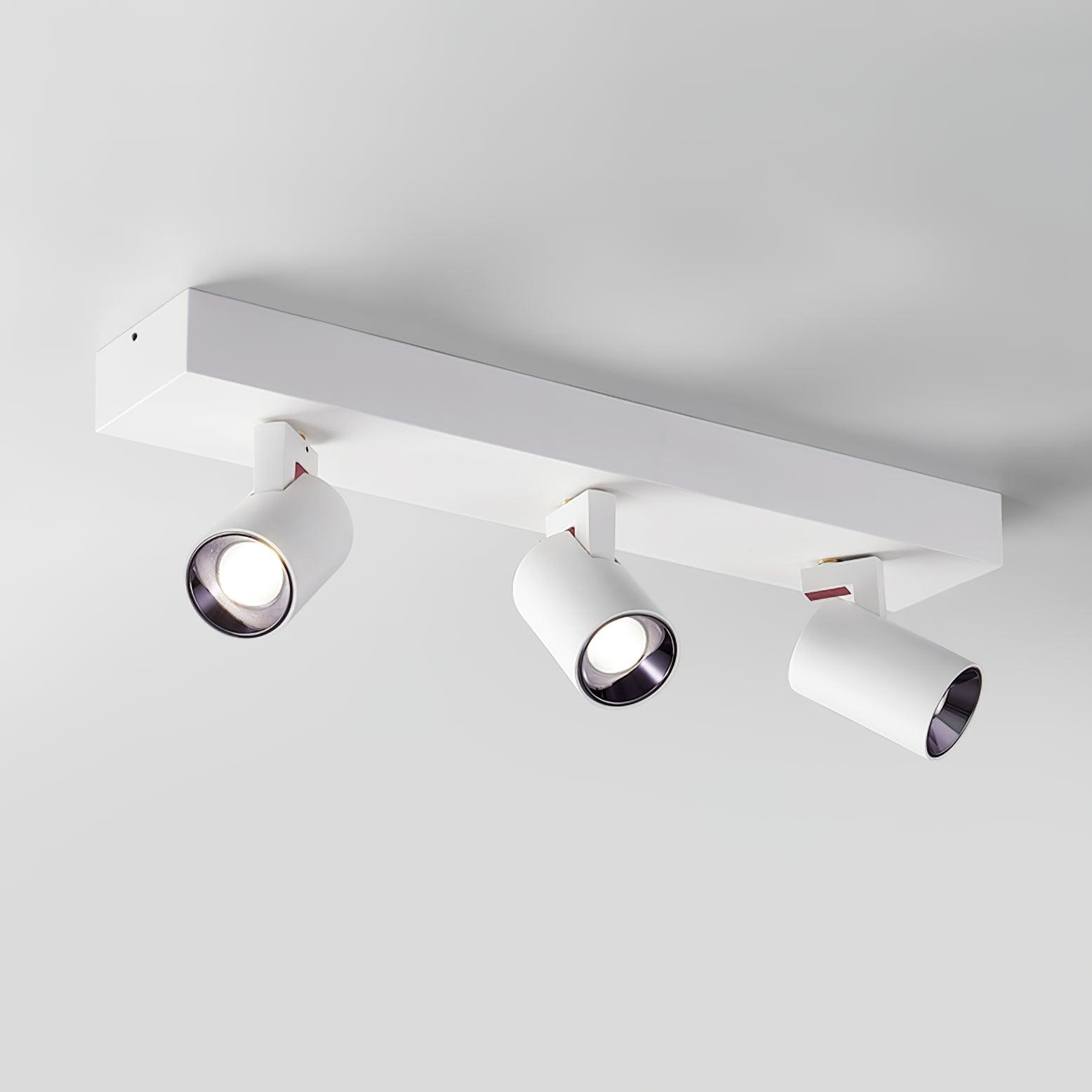 Solara Plafonnier POG Double Spots Linéaires Orientables - Neutralighting