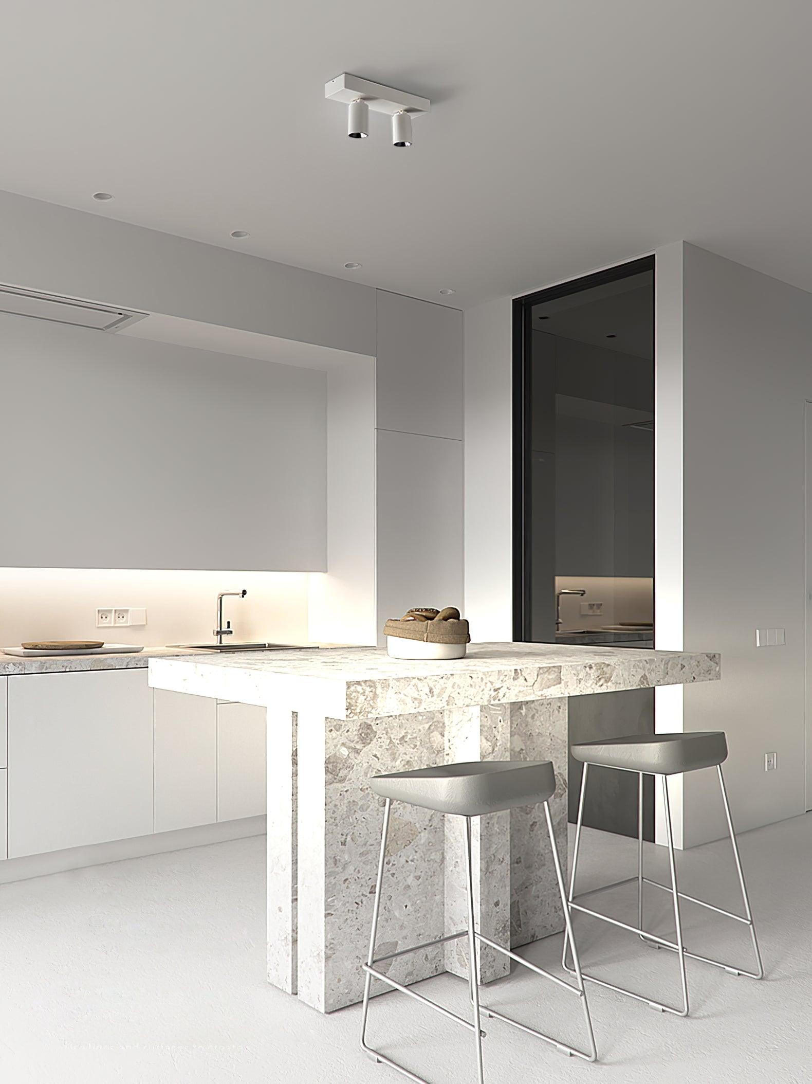 Solara Plafonnier POG Double Spots Linéaires Orientables - Neutralighting