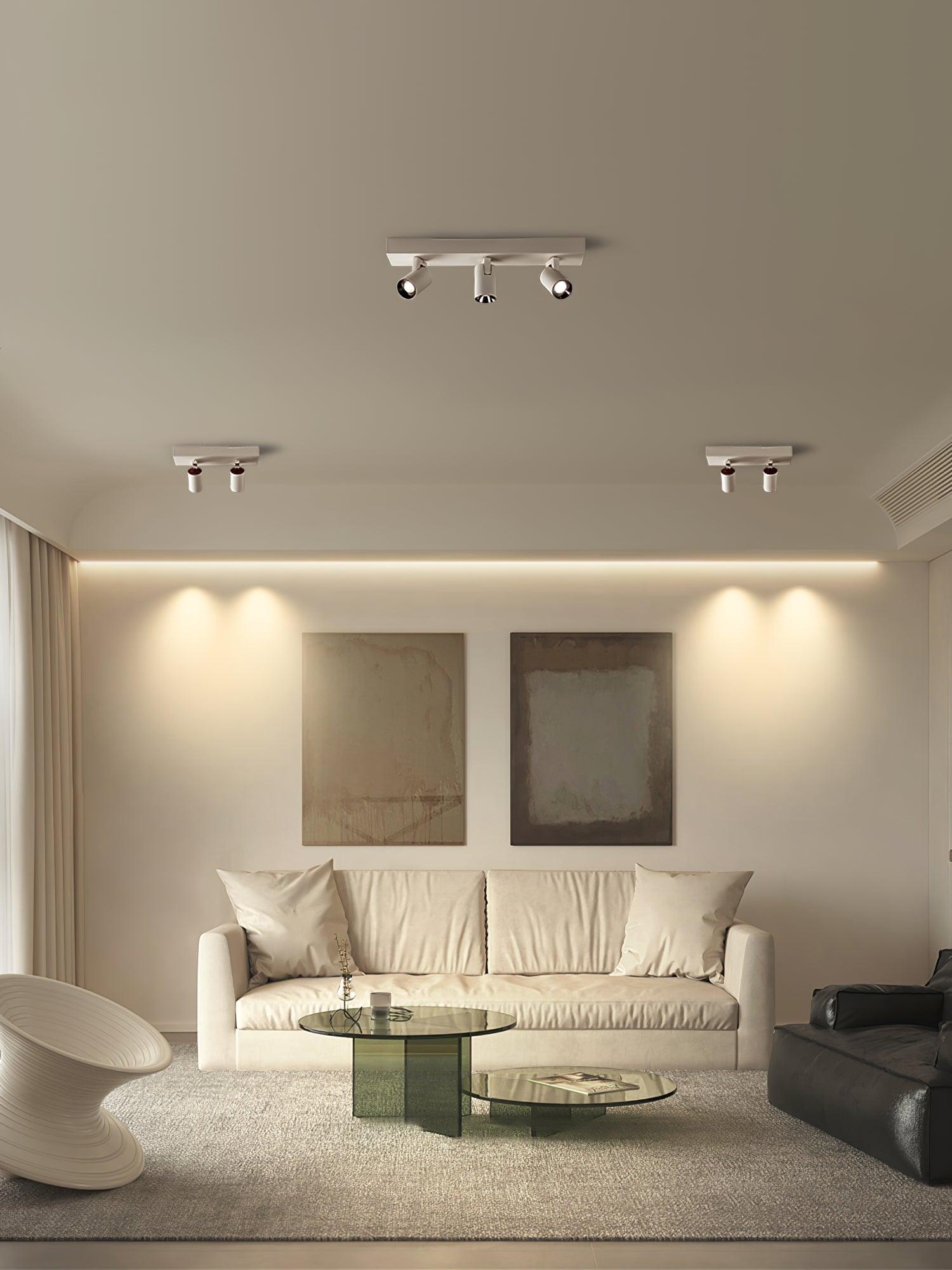 Solara Plafonnier POG Double Spots Linéaires Orientables - Neutralighting