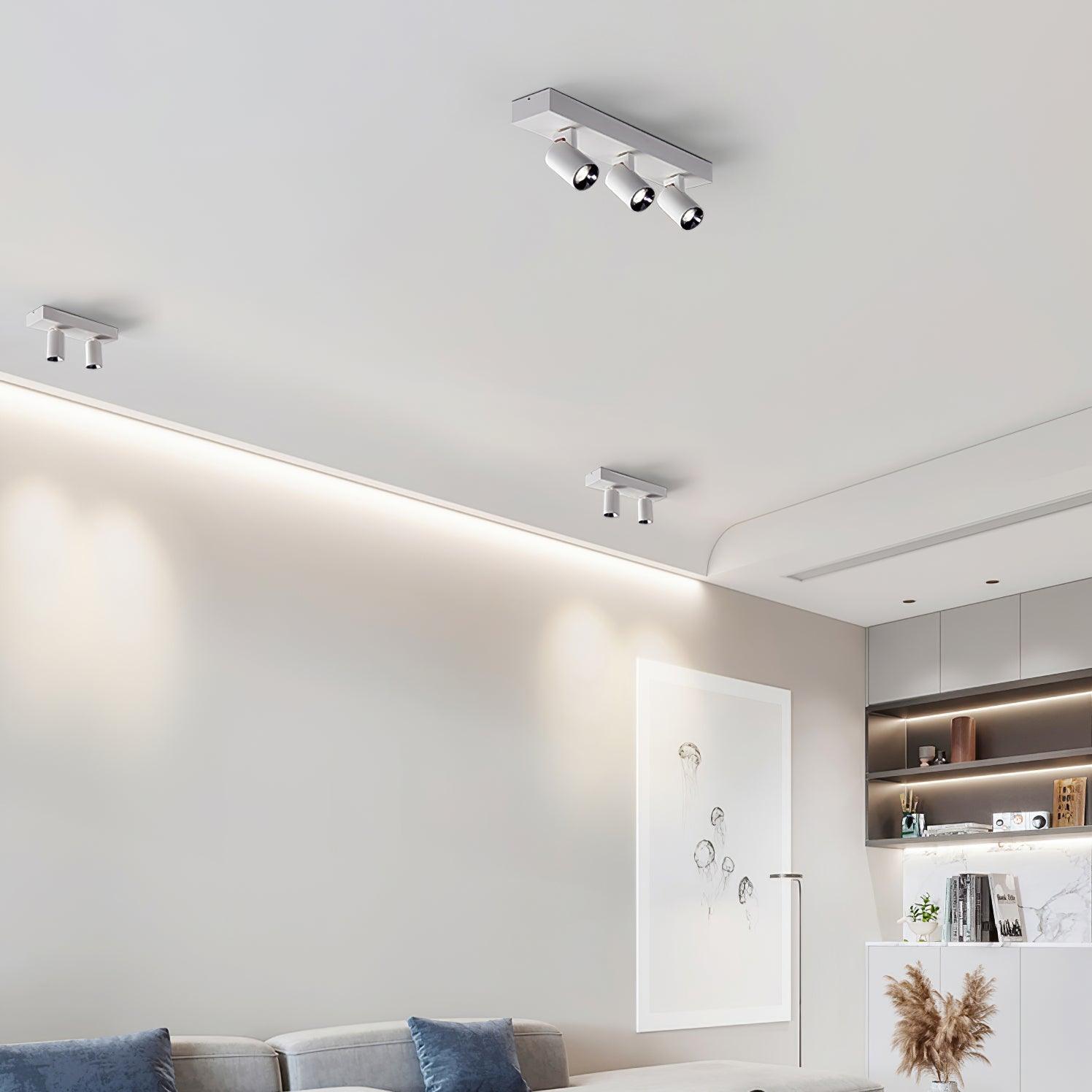 Solara Plafonnier POG Double Spots Linéaires Orientables - Neutralighting
