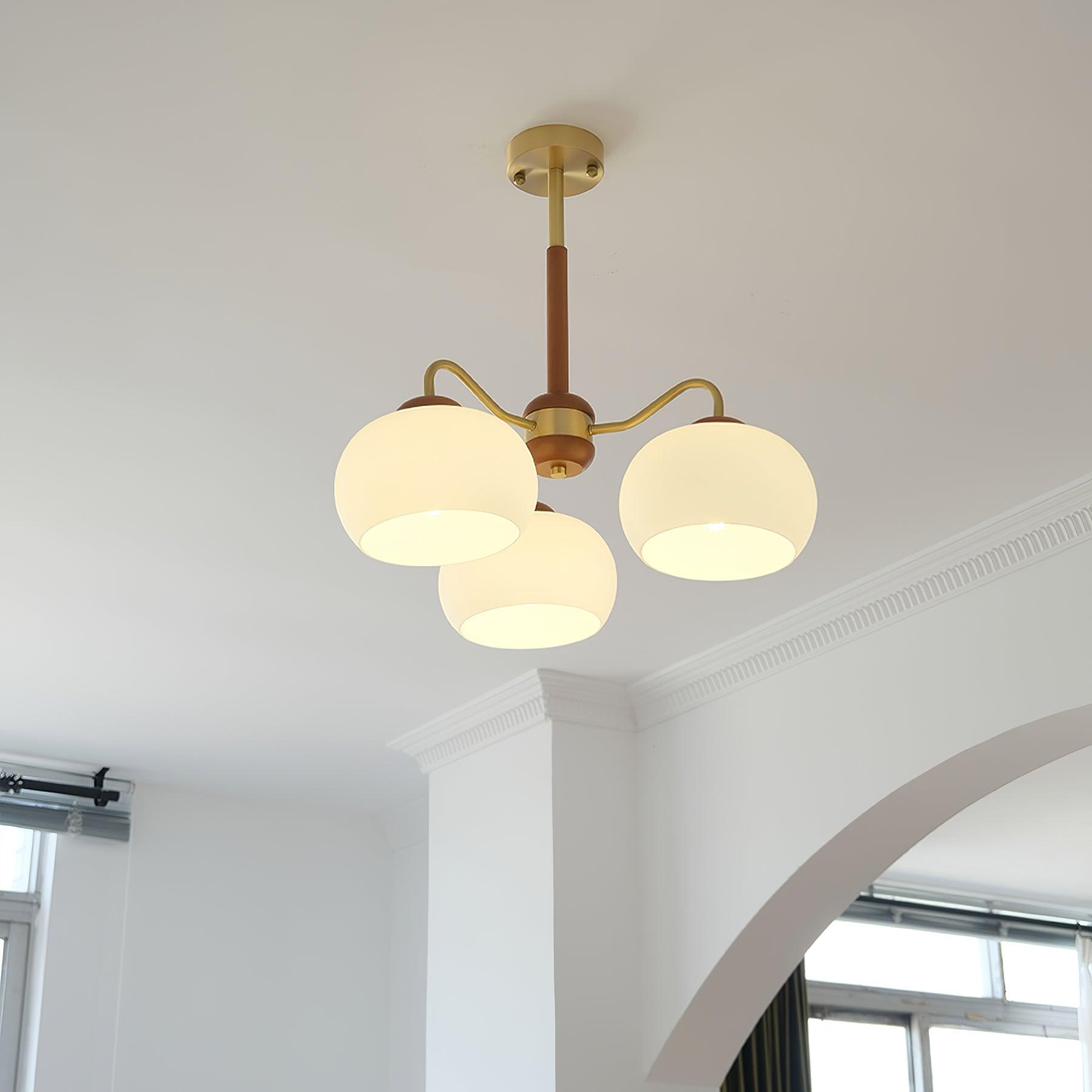 Raito Chandelier Glass Dome Wood Brass - Letslighting