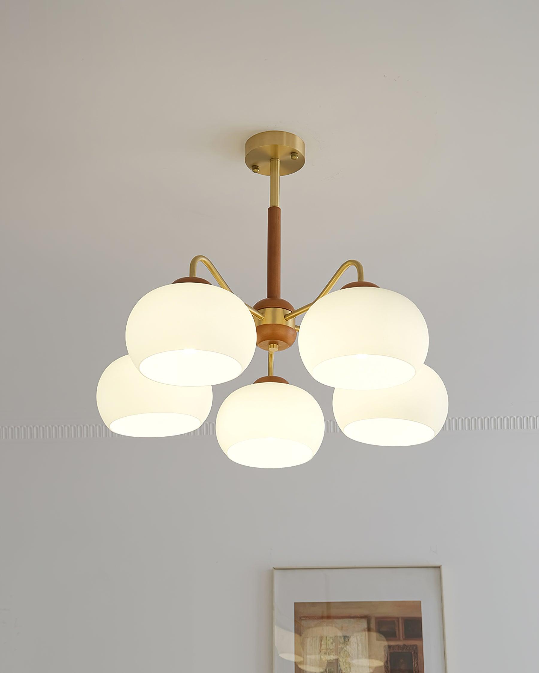 Raito Chandelier Glass Dome Wood Brass - Letslighting