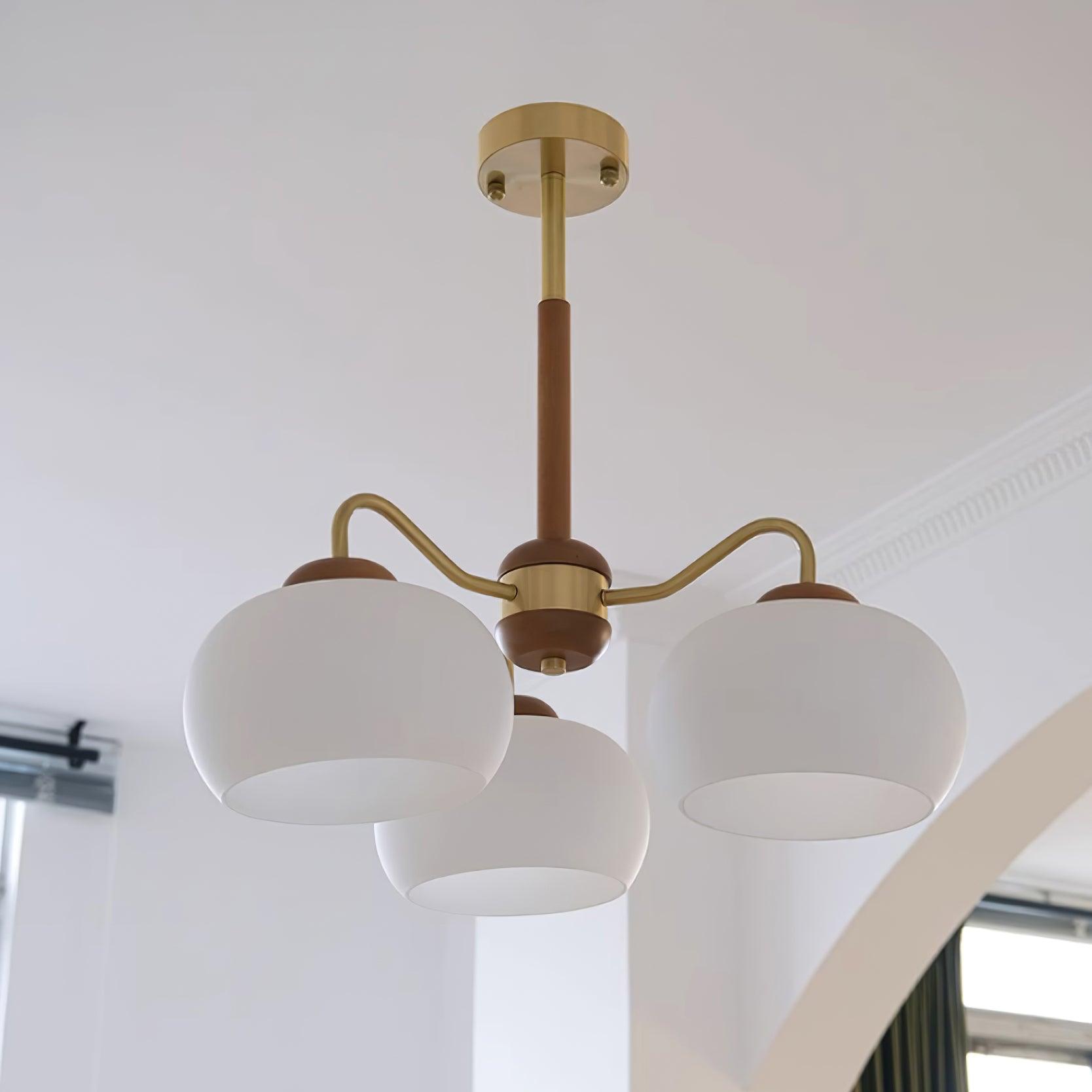 Raito Chandelier Glass Dome Wood Brass - Letslighting