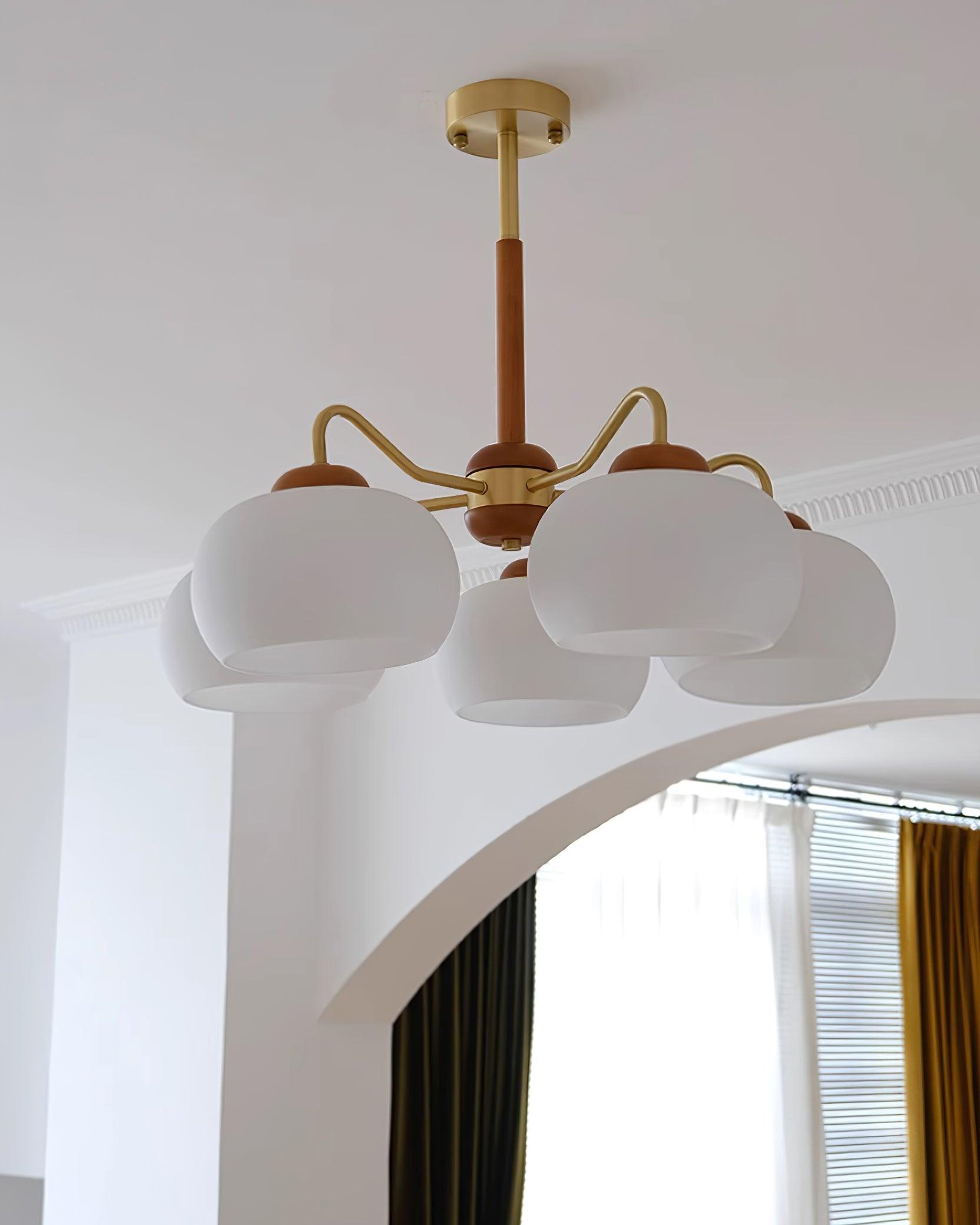 Raito Chandelier Glass Dome Wood Brass - Letslighting