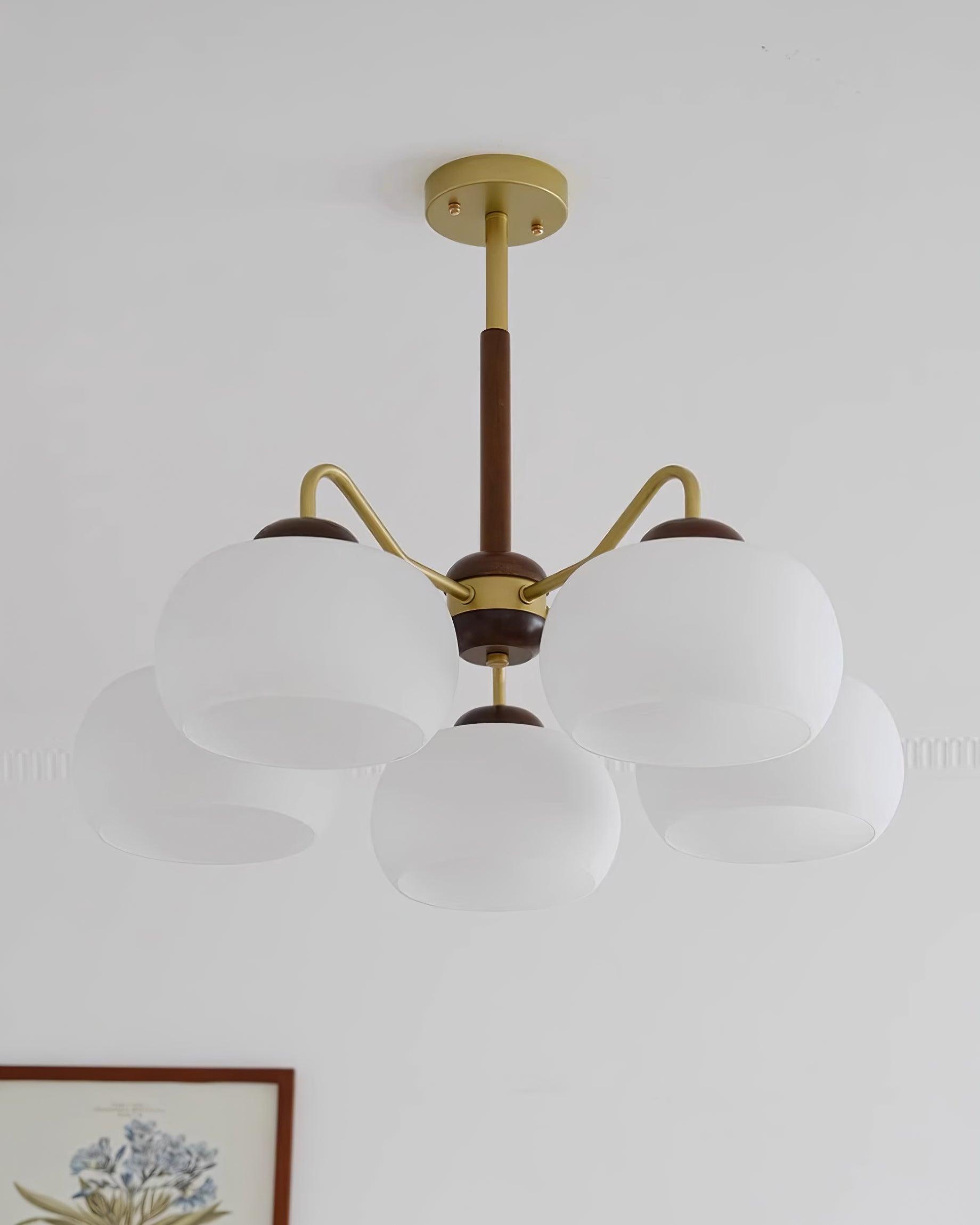 Raito Chandelier Glass Dome Wood Brass - Letslighting