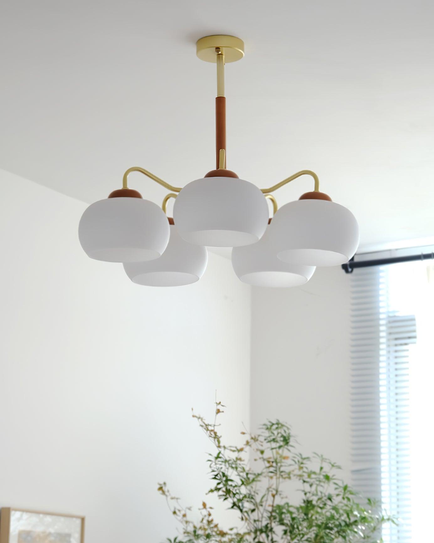 Raito Chandelier Glass Dome Wood Brass - Letslighting