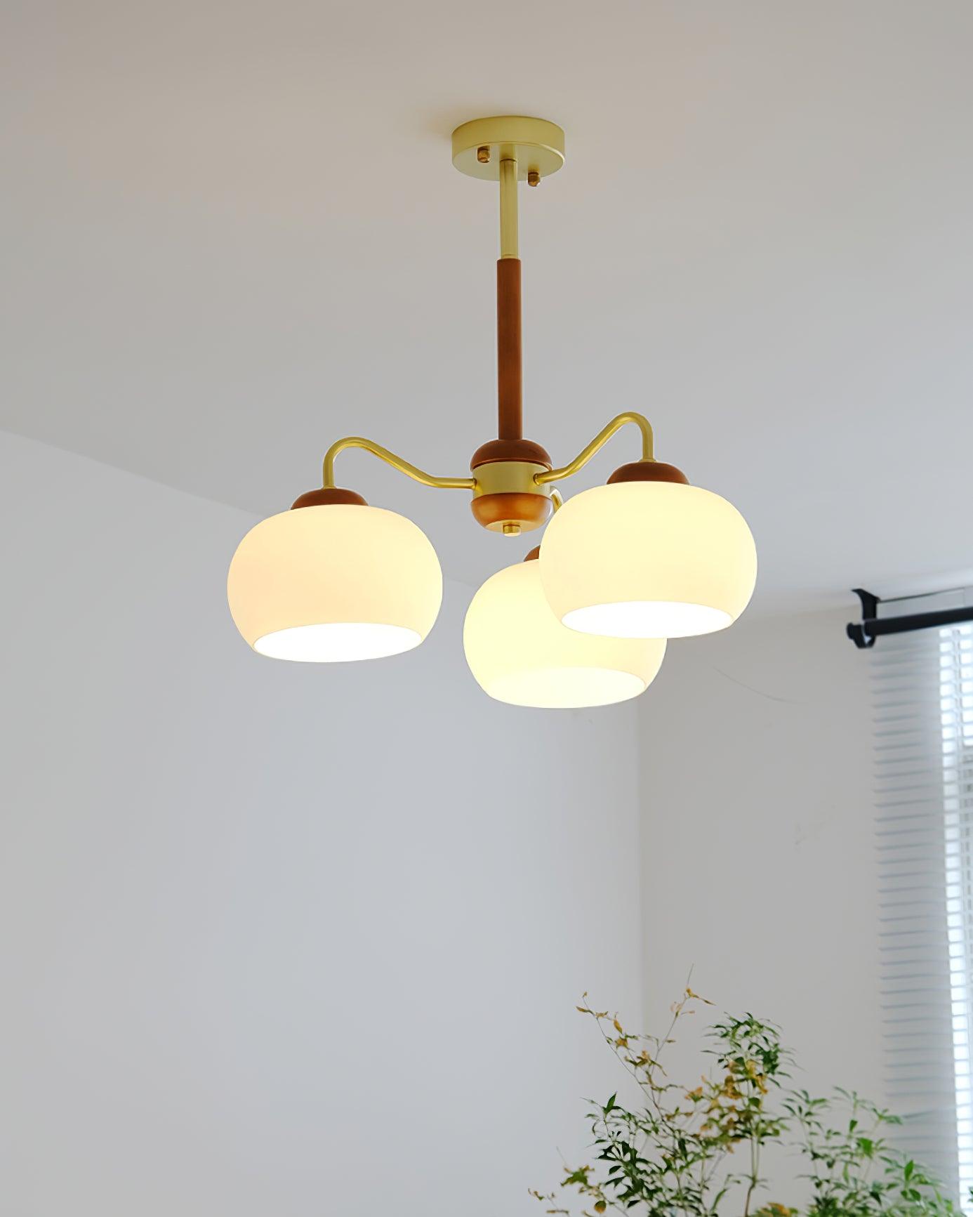 Raito Chandelier Glass Dome Wood Brass - Letslighting