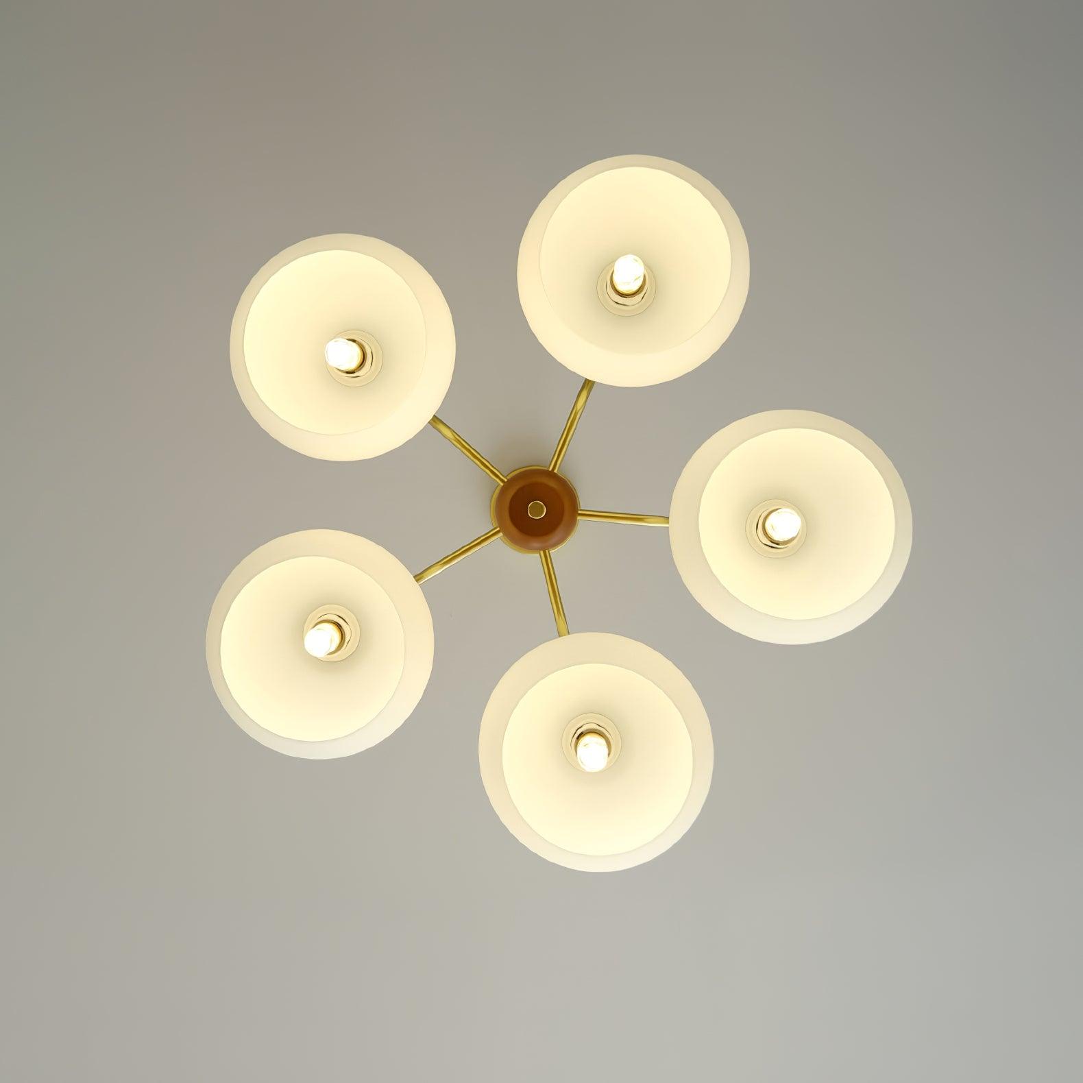 Raito Chandelier Glass Dome Wood Brass - Letslighting