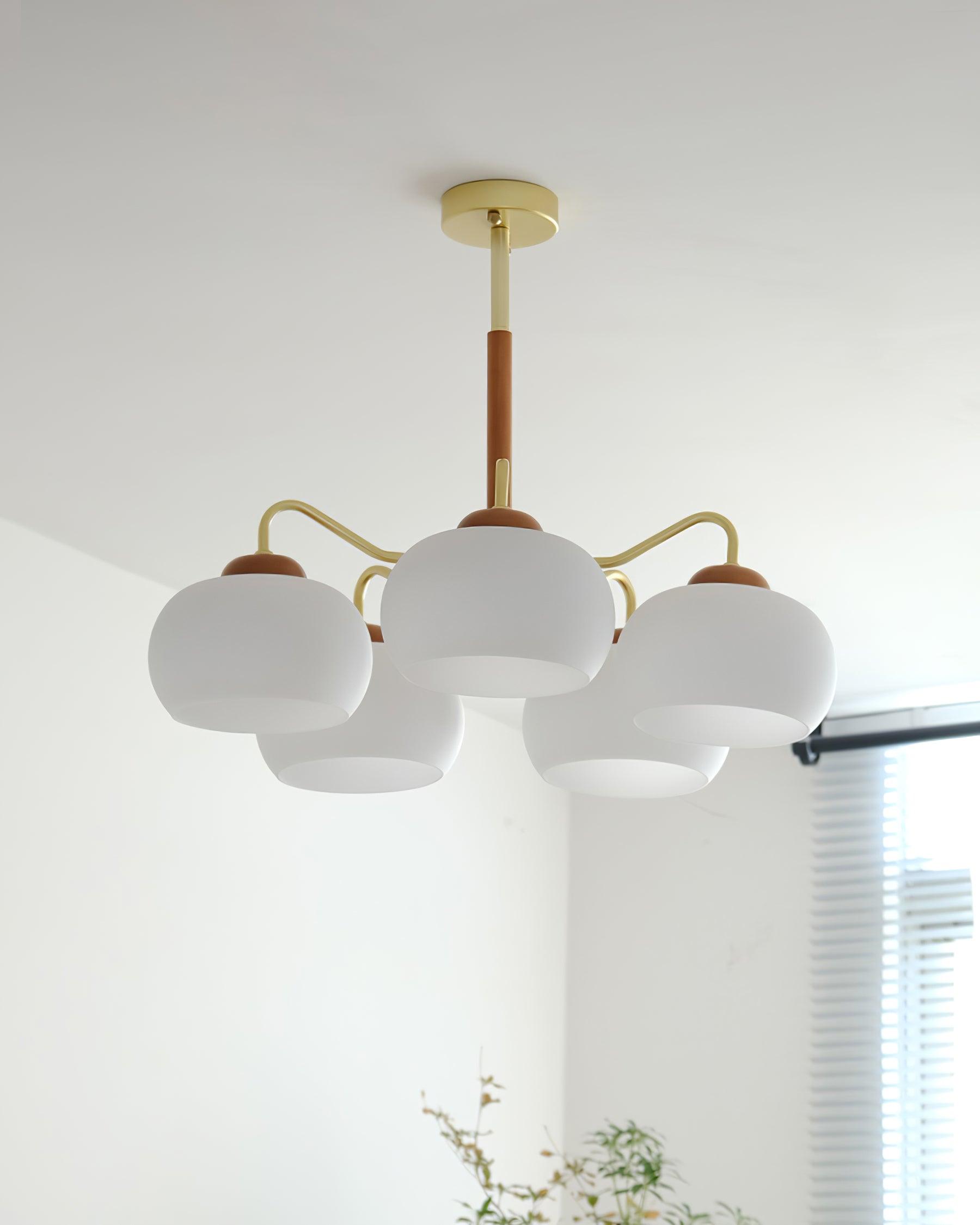 Raito Chandelier Glass Dome Wood Brass - Letslighting