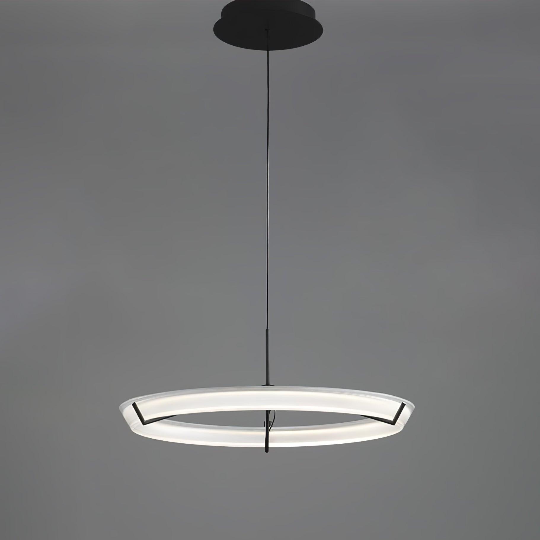 Vielle Lampe Suspendue Circulaire Élégante Moderne Ronde - Neutralighting