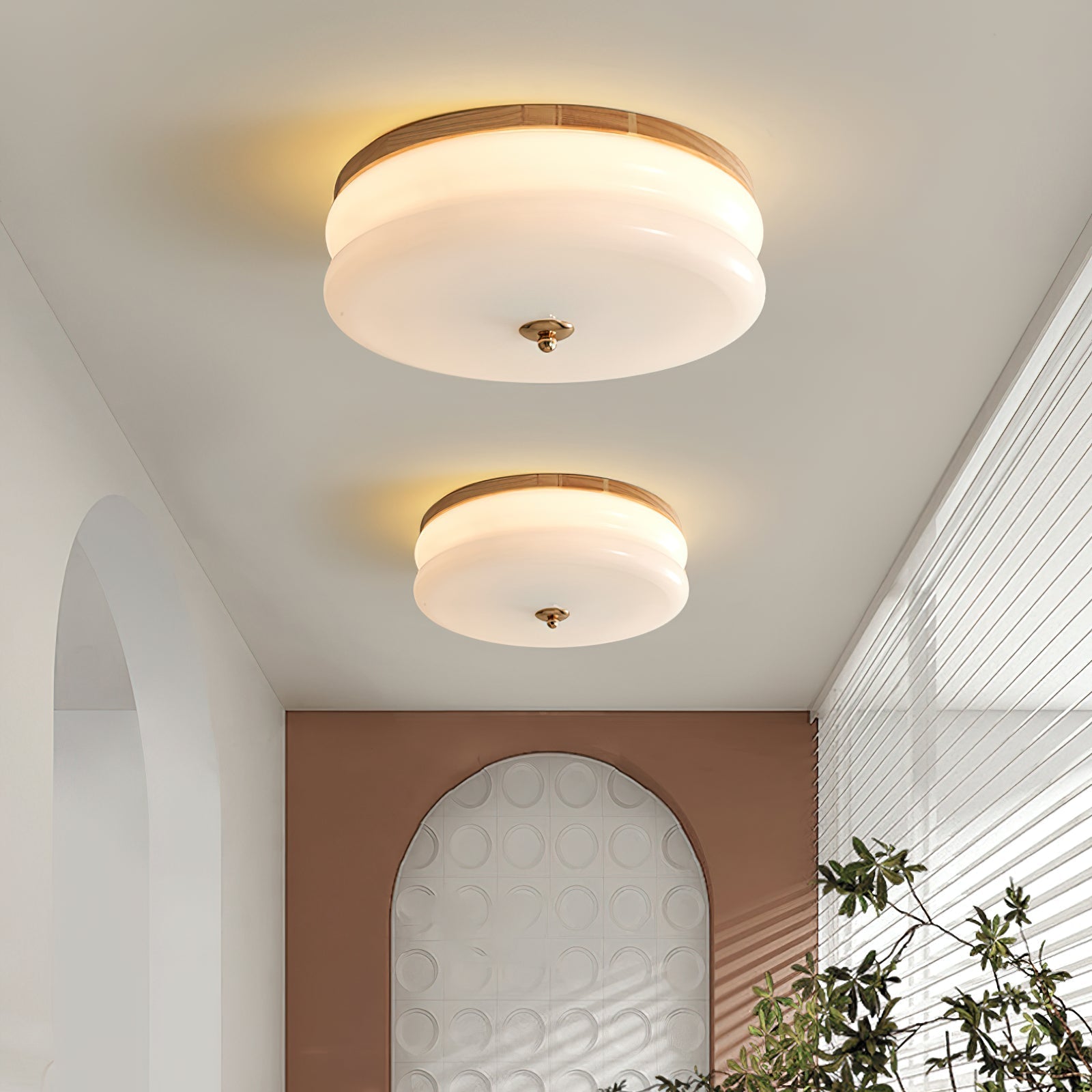 Ceiling Light Double-Layer Glass Disc Walnut Wood Minimalist - Letslighting