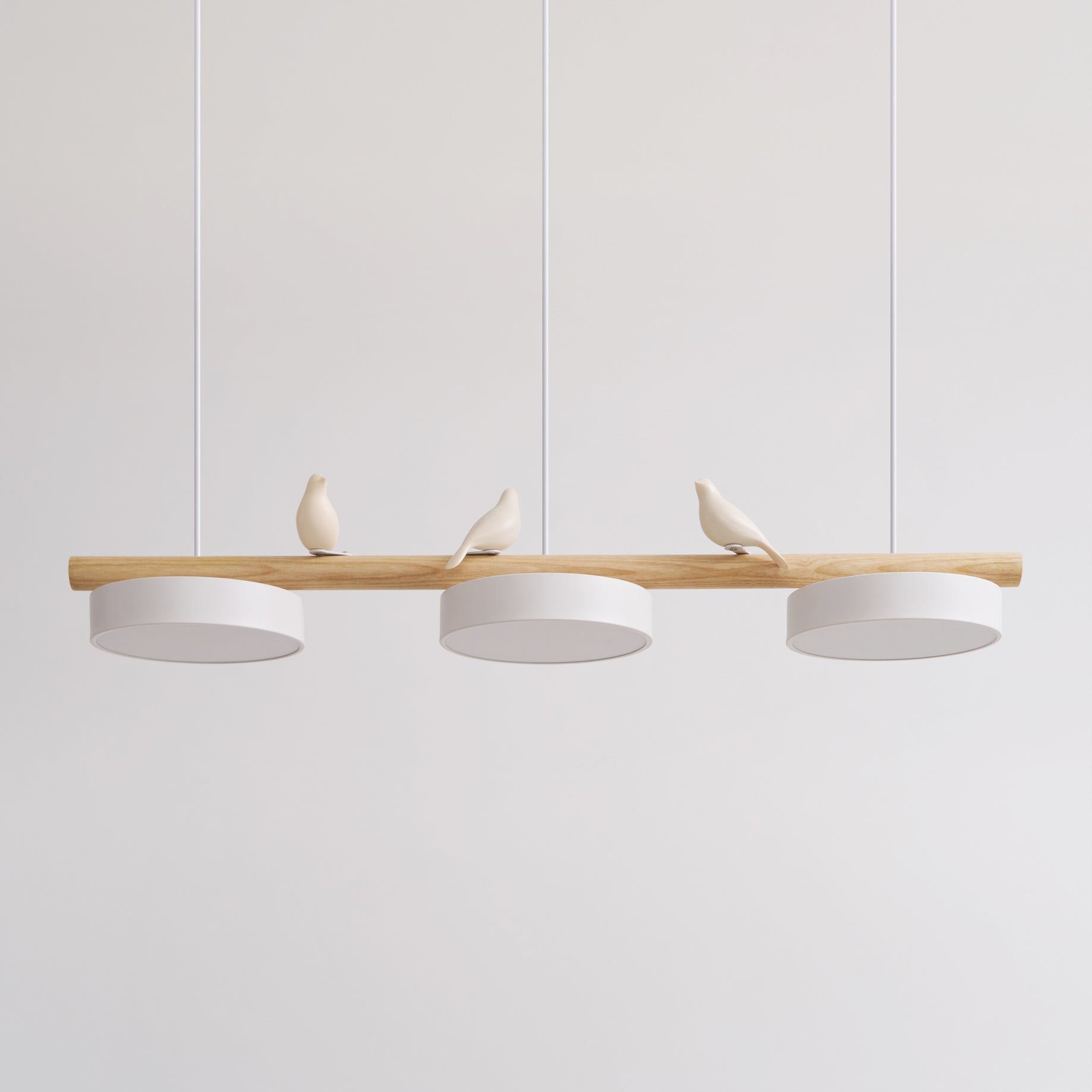 Cliff Suspension Oiseau - Neutralighting