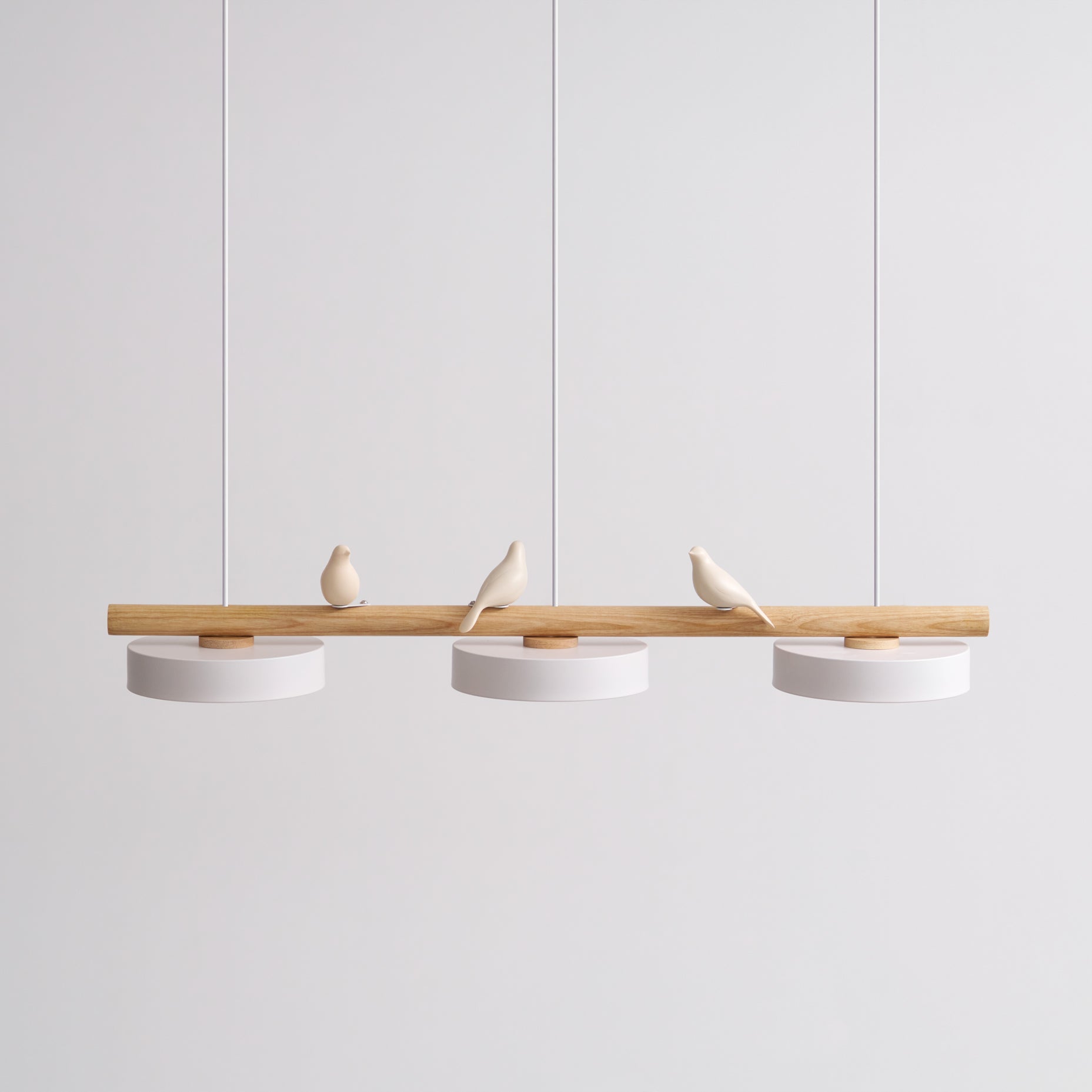 Cliff Suspension Oiseau - Neutralighting