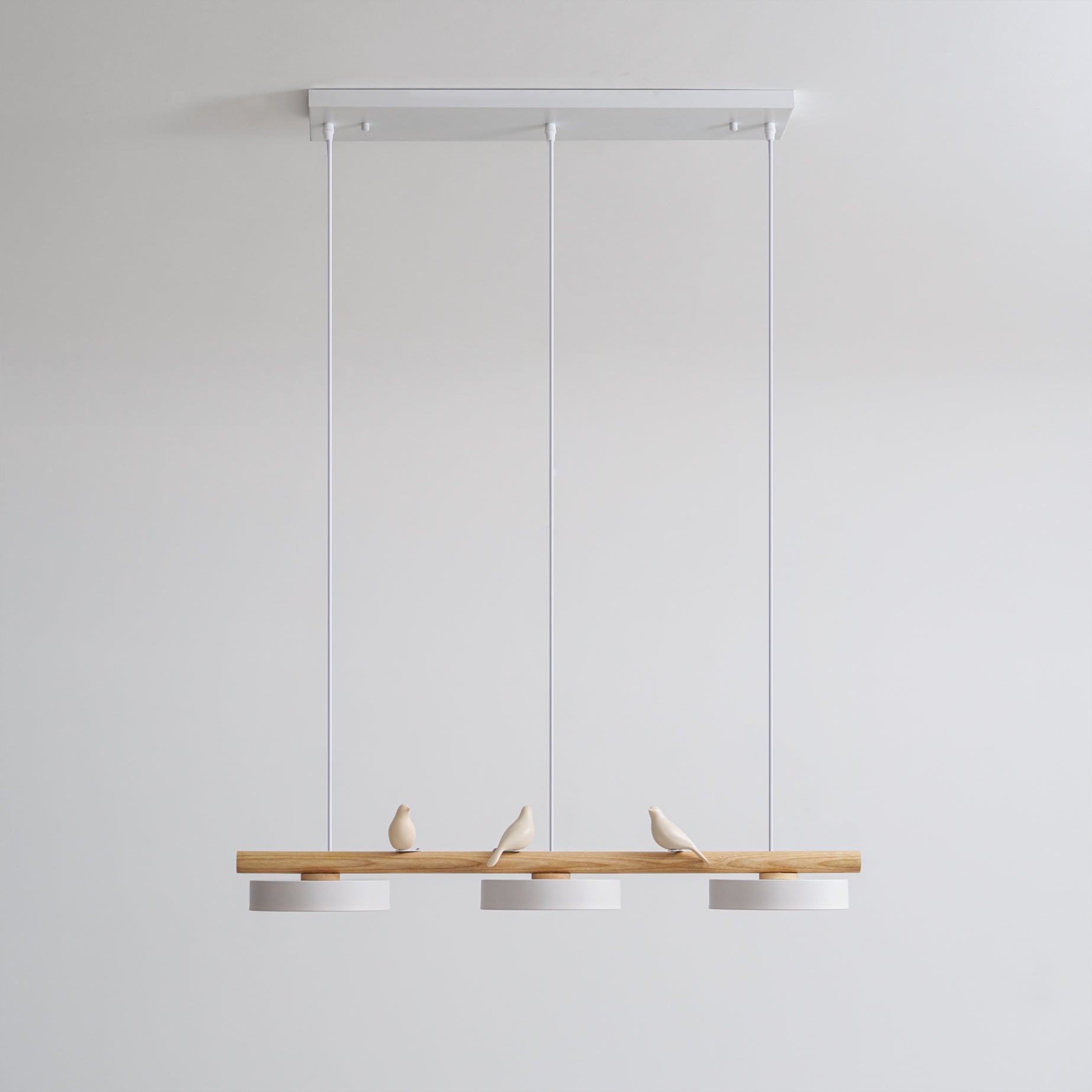 Cliff Suspension Oiseau - Neutralighting