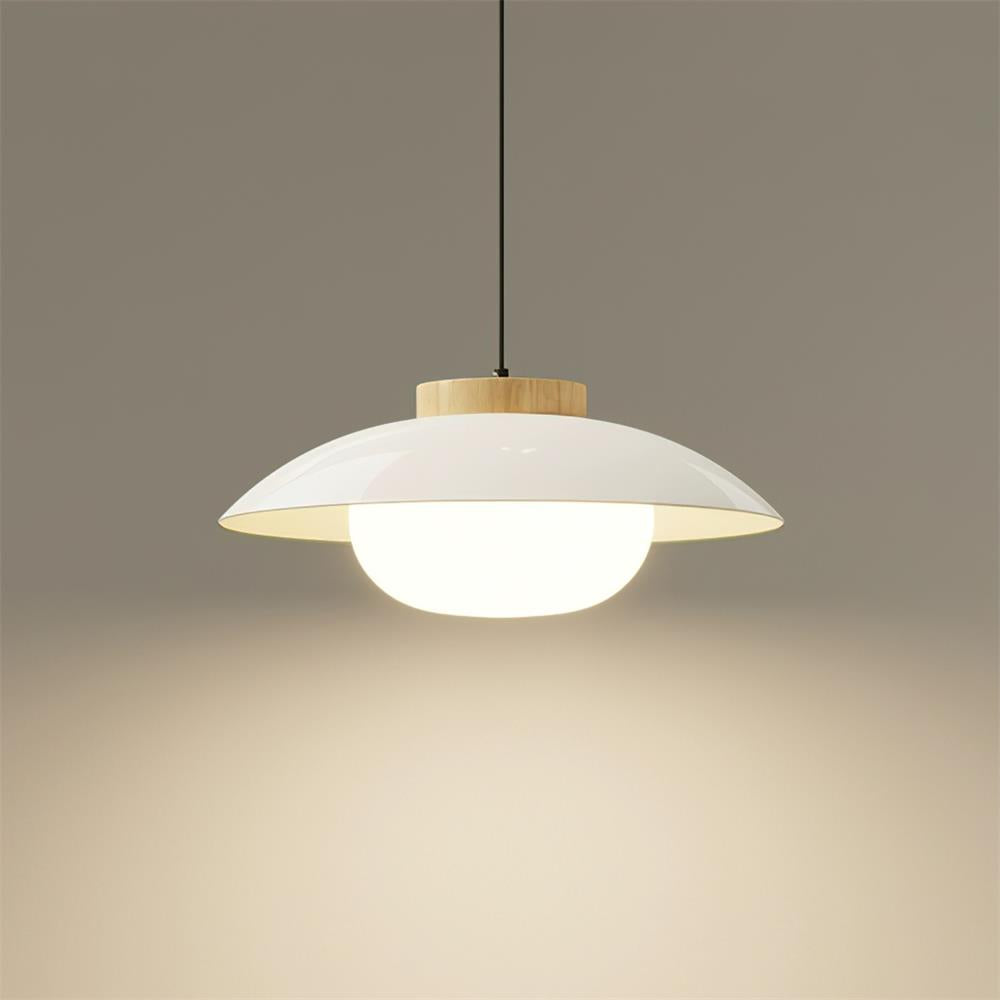 Aero Lampe Pendante Industrielle en Verre à Brancher - Neutralighting