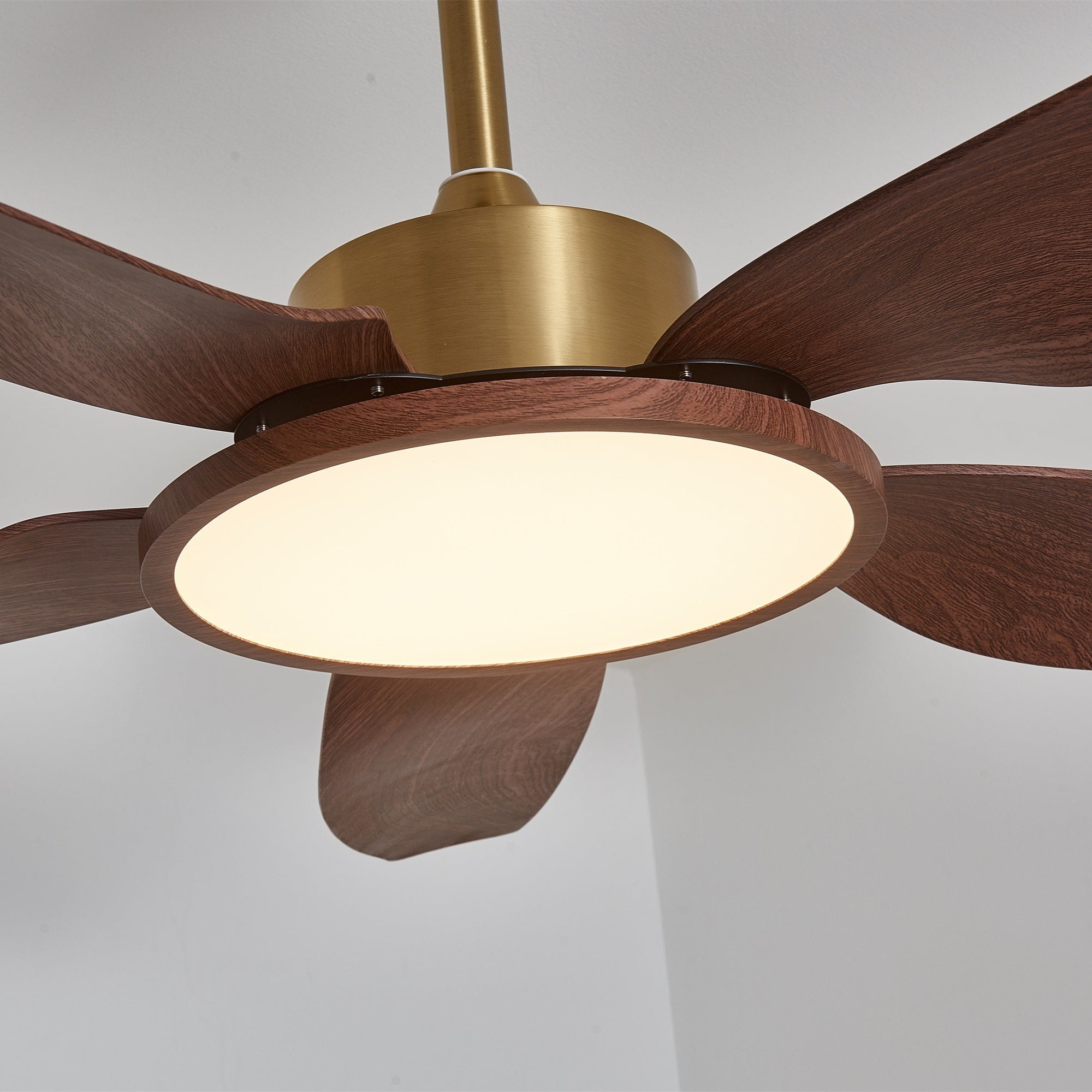 Angle différent du plafonnier ventilateur Aurelia dans un cadre contemporain