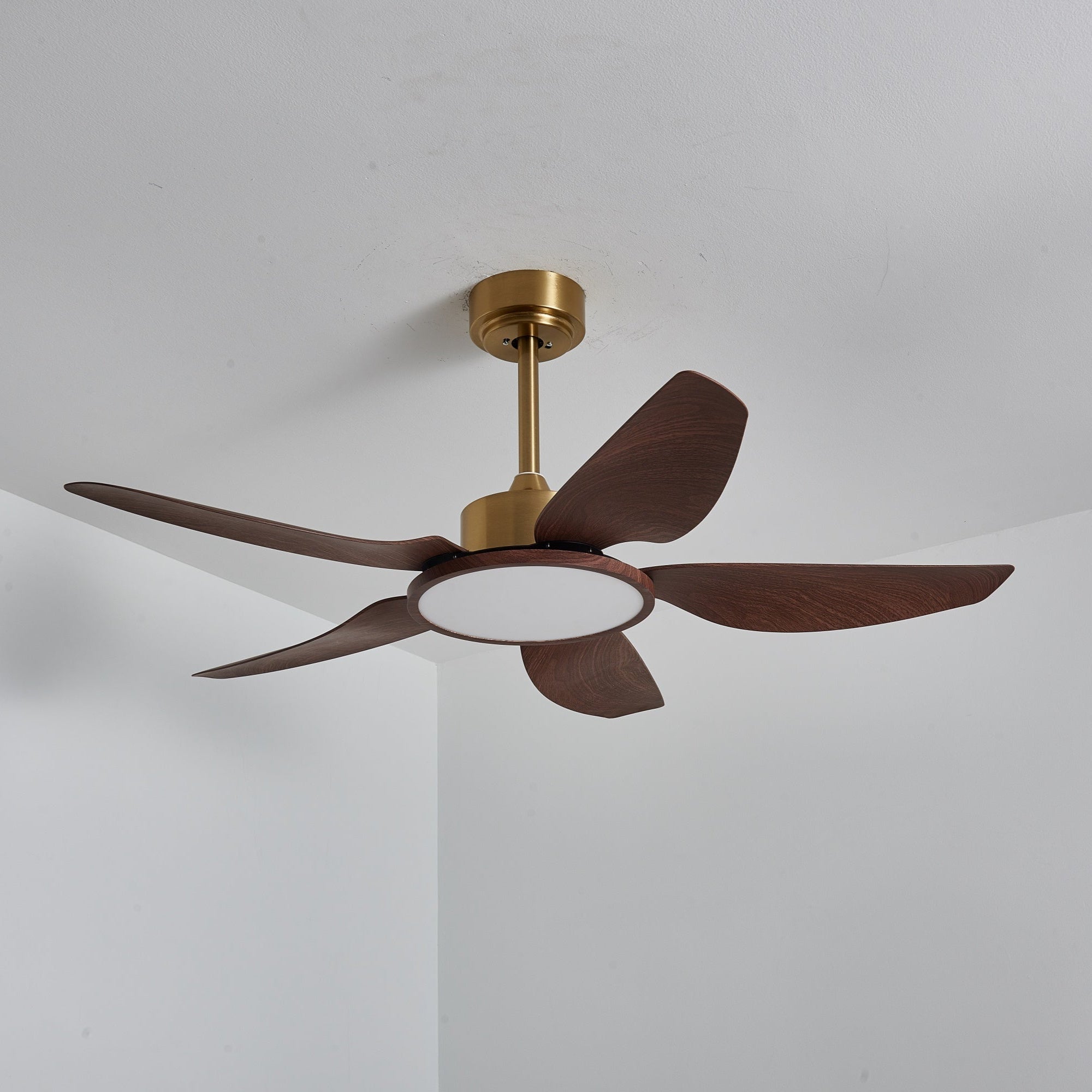 Plafonnier ventilateur Aurelia, vue complète